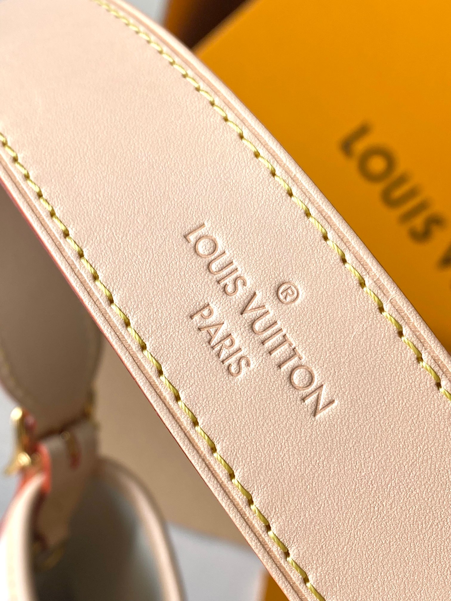 LV Bag