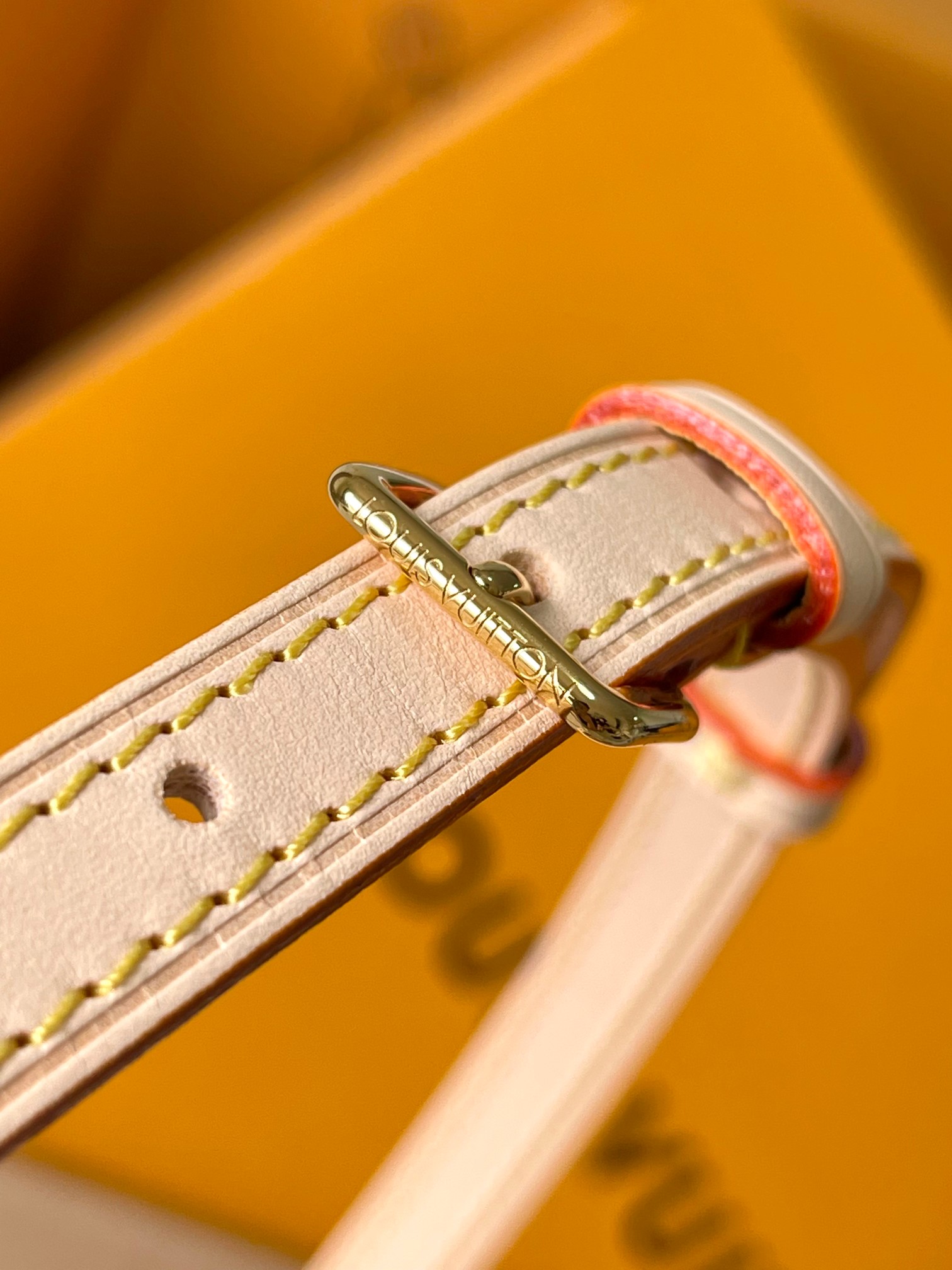 LV Bag