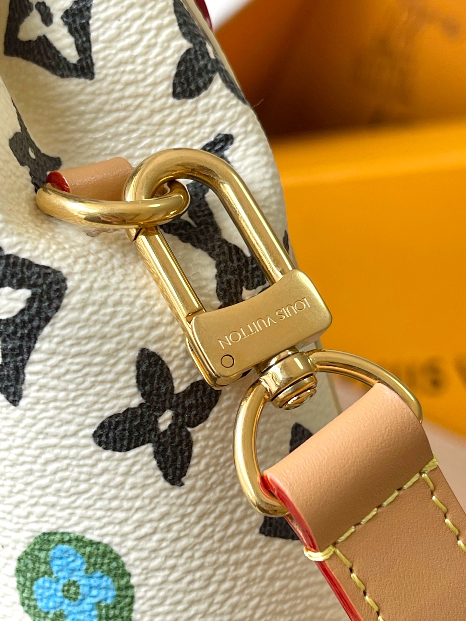 LV Bag