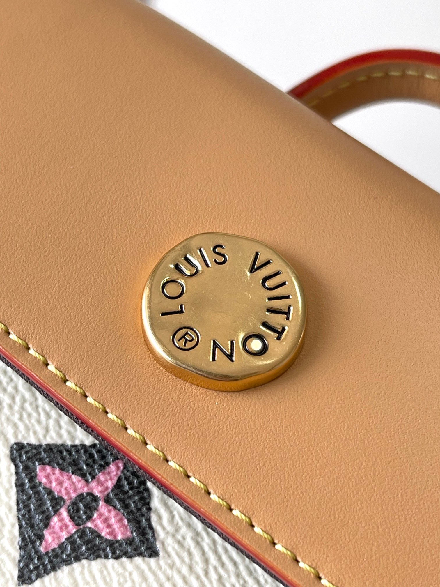LV Bag