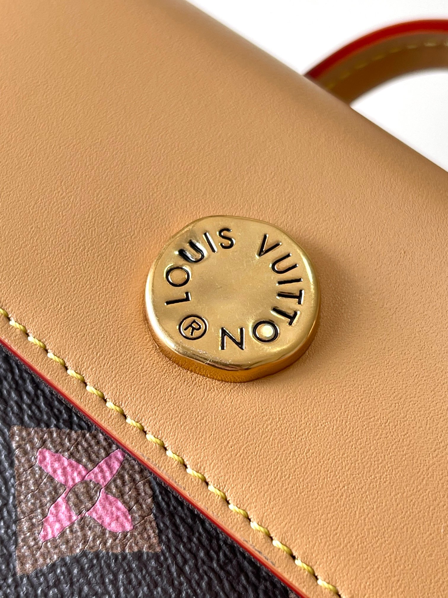 LV Bag