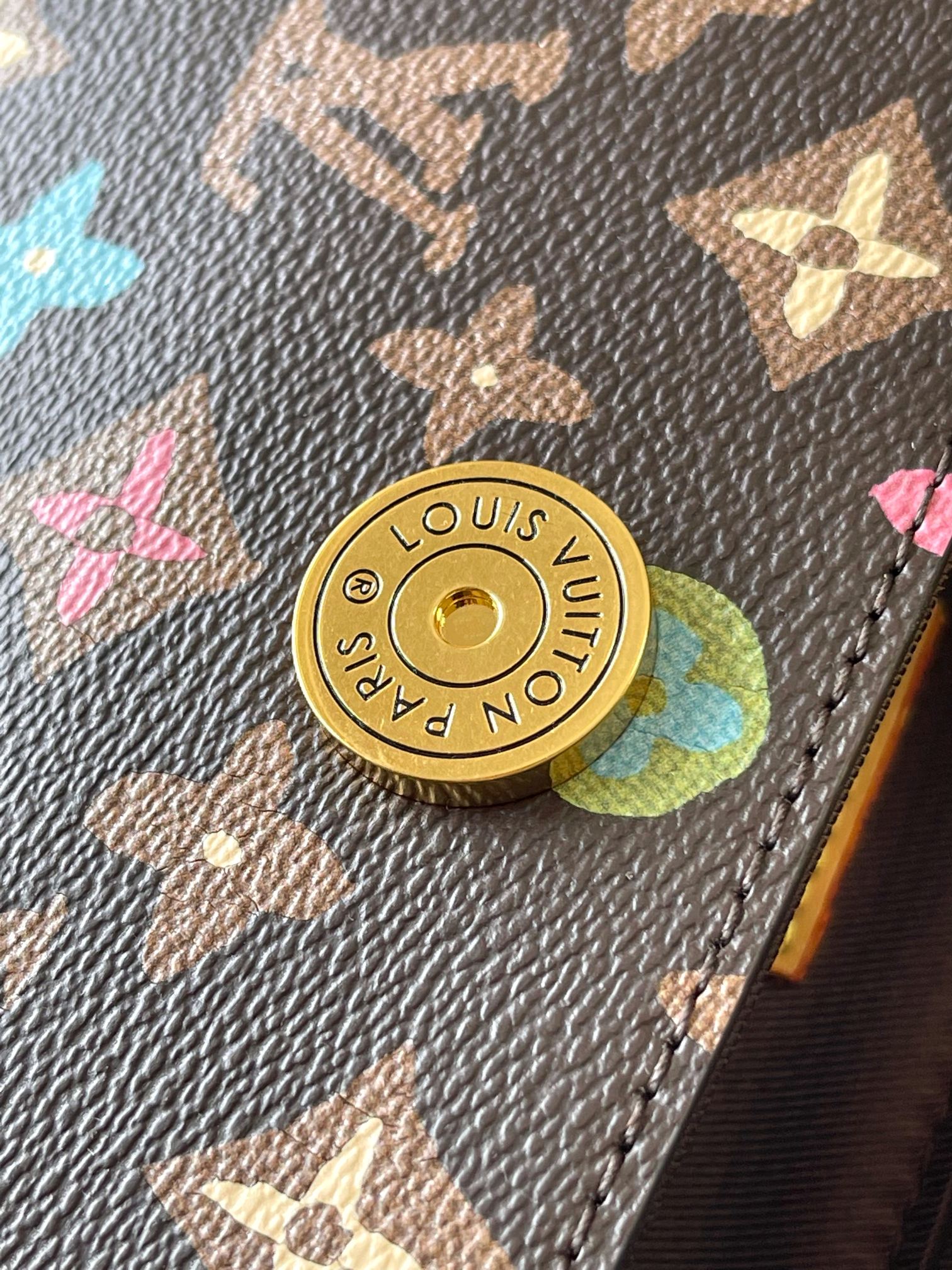 LV Bag