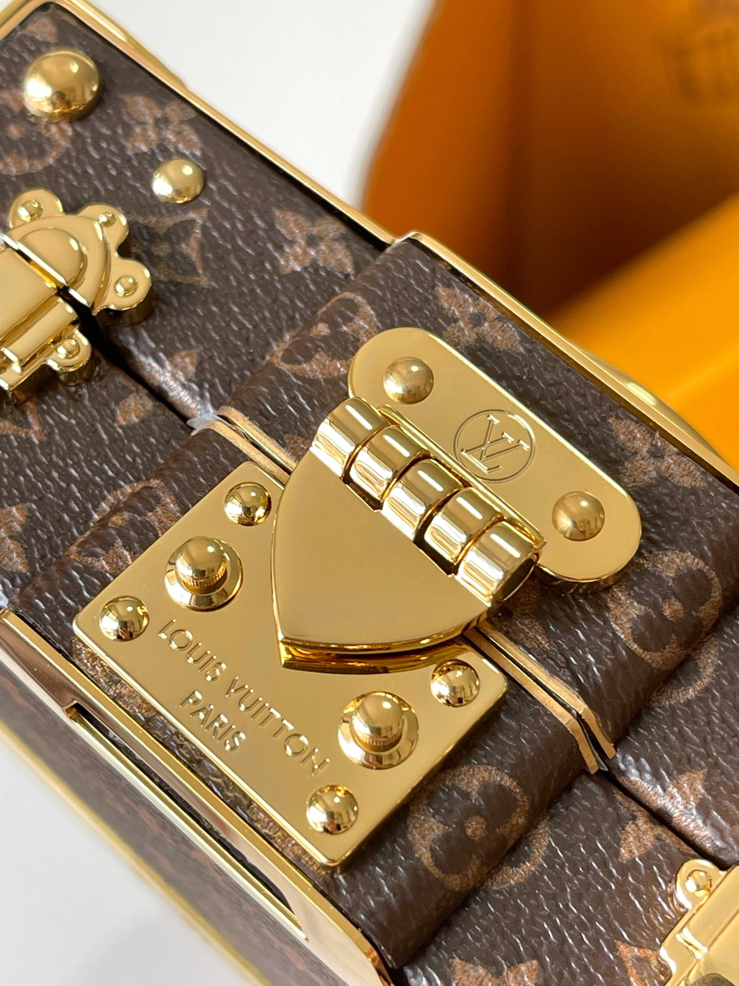 LV Bag