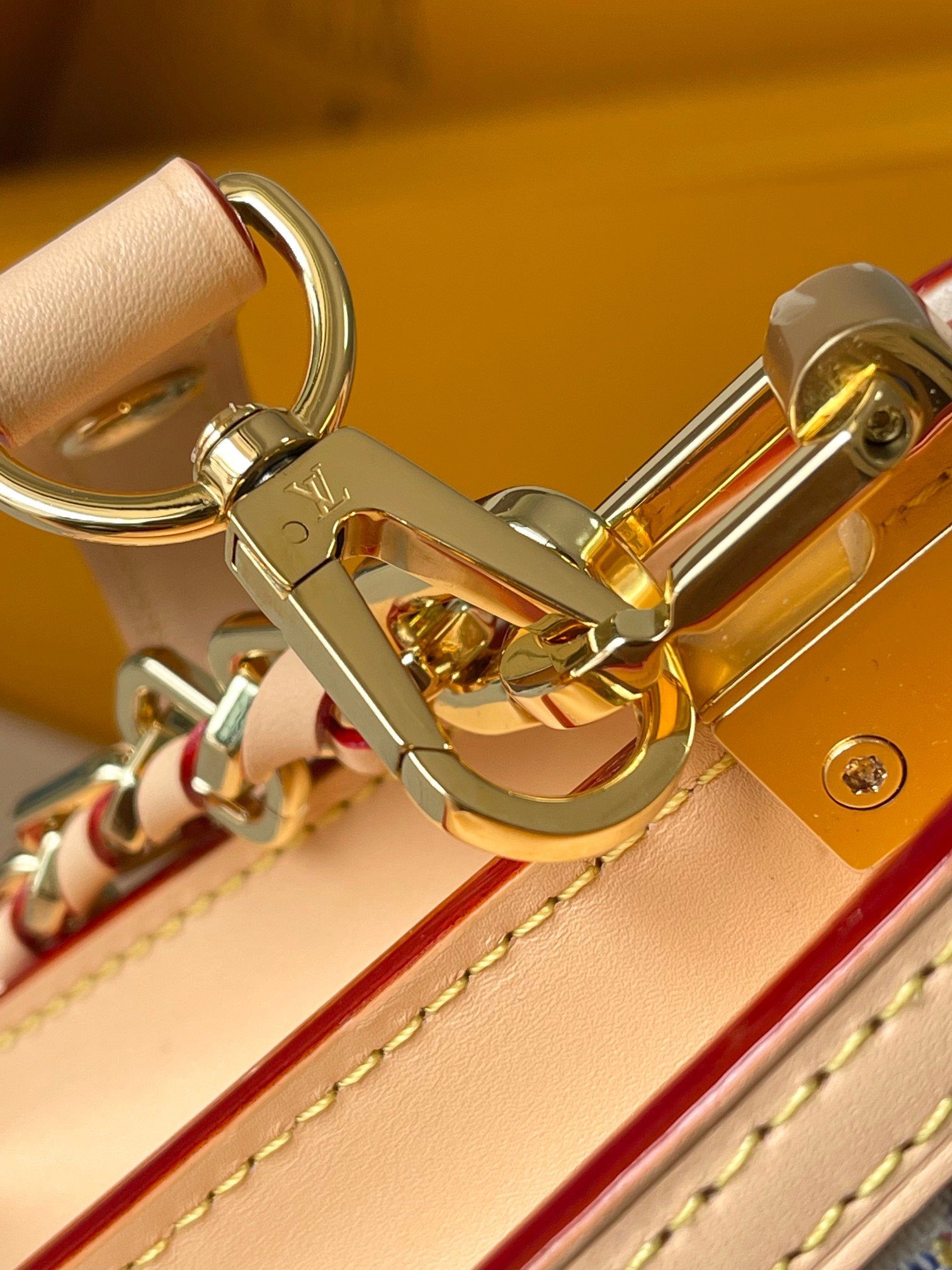 LV Bag