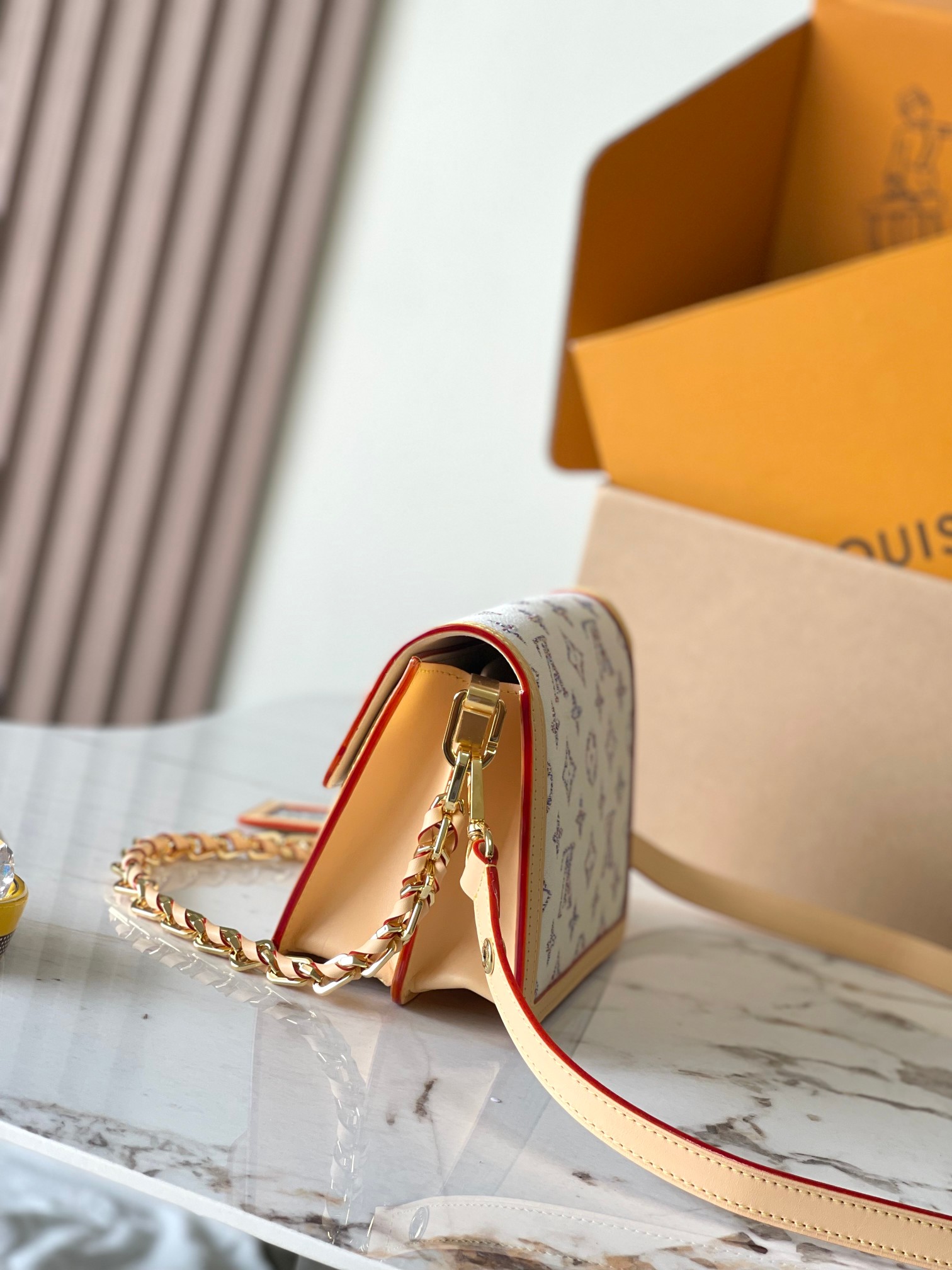 LV Bag