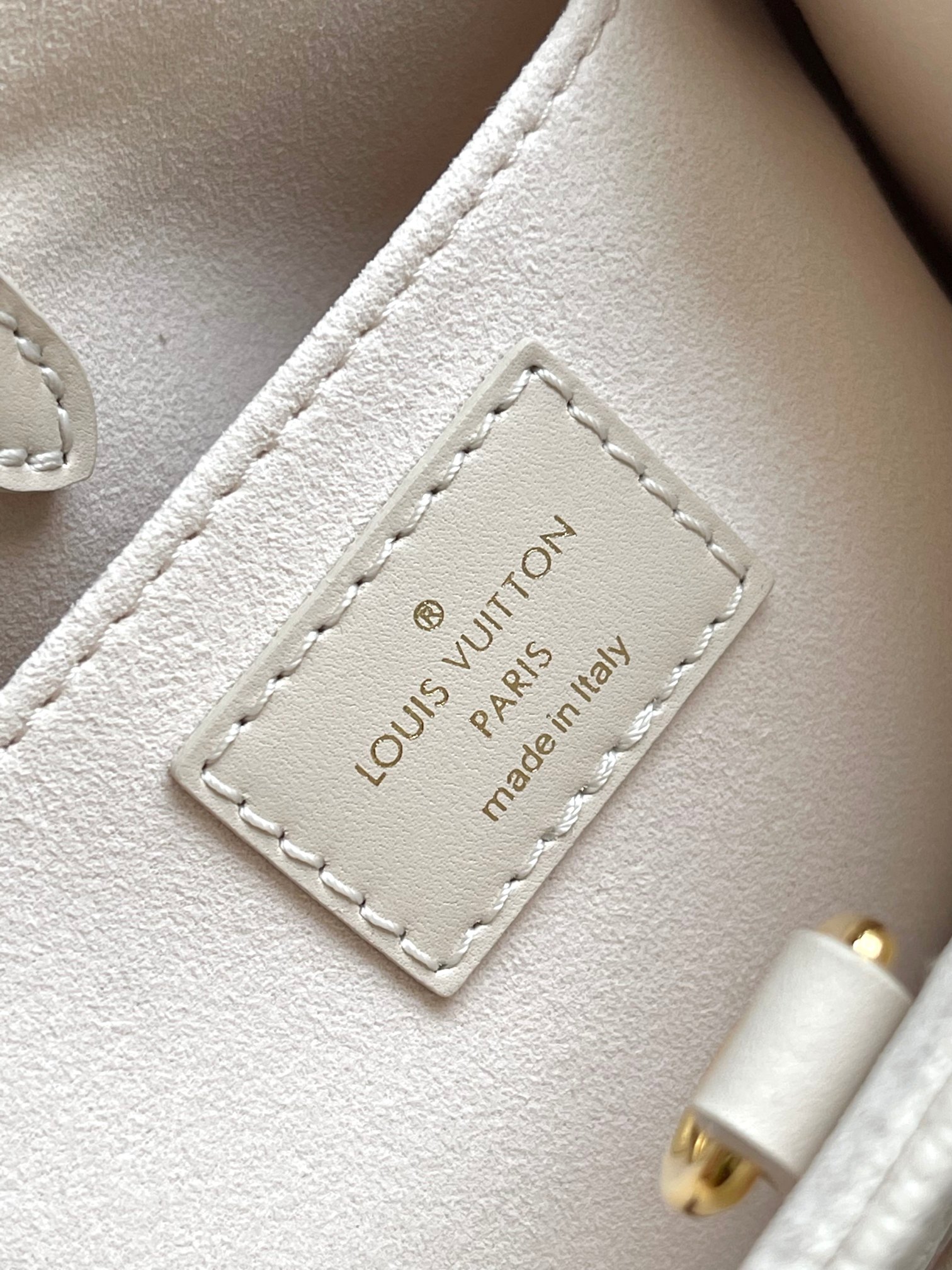 LV Bag
