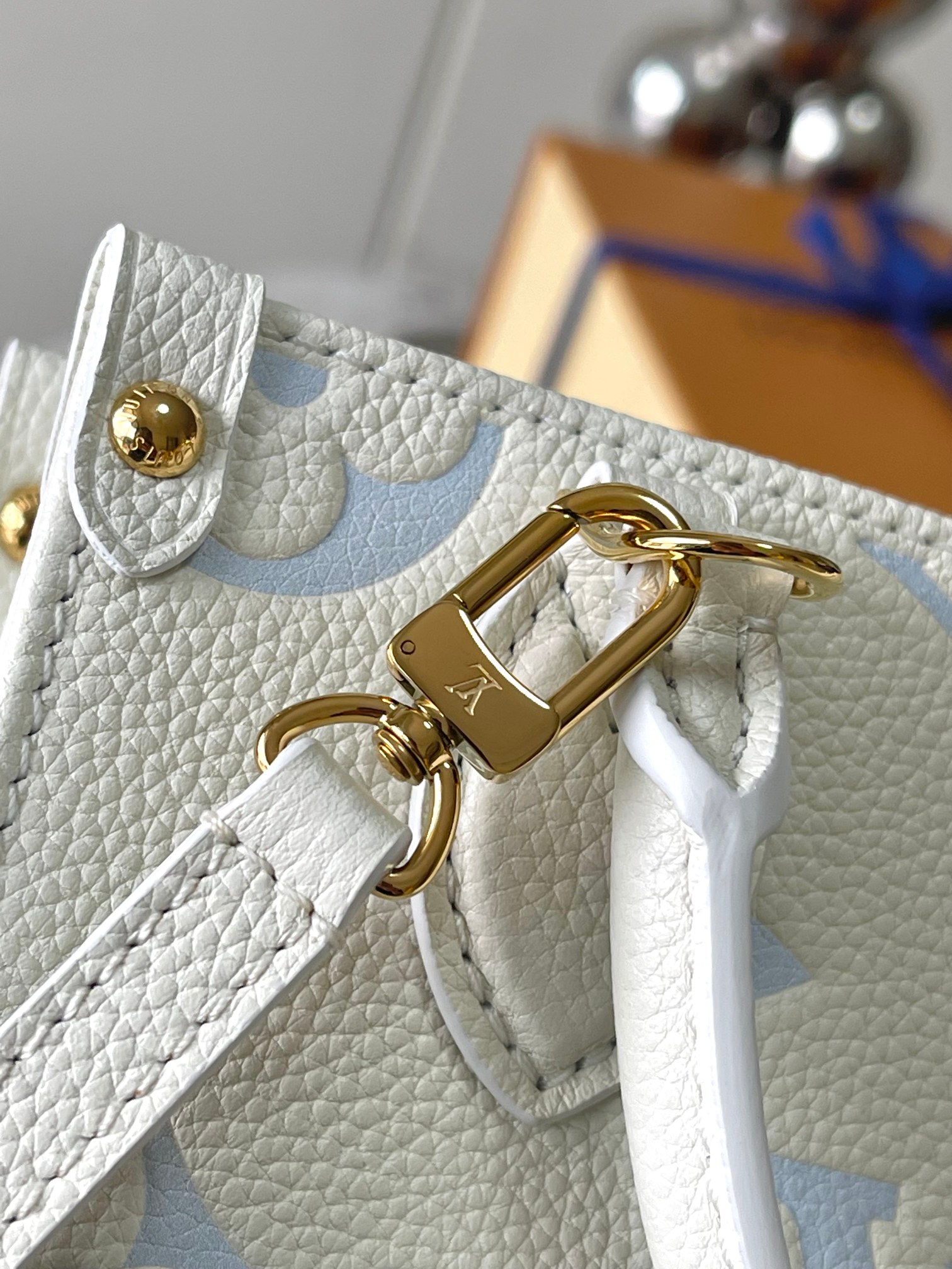 LV Bag