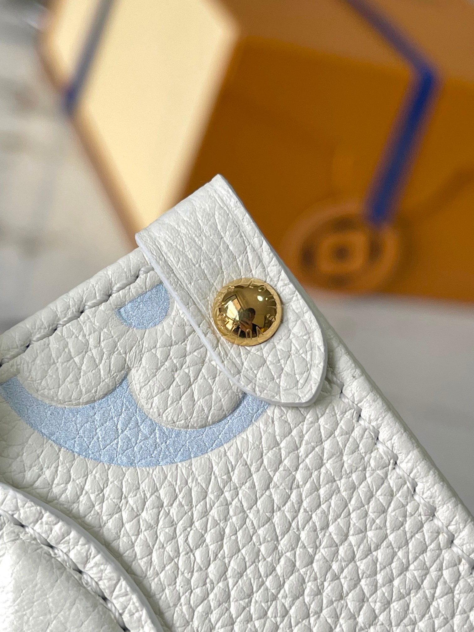 LV Bag