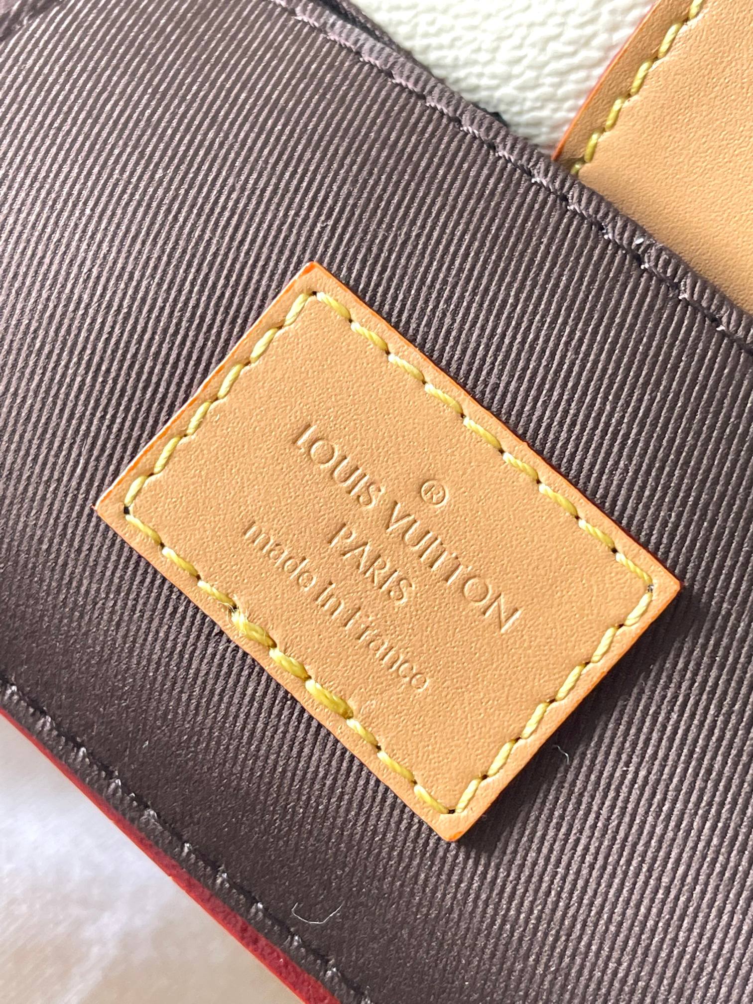 LV Bag