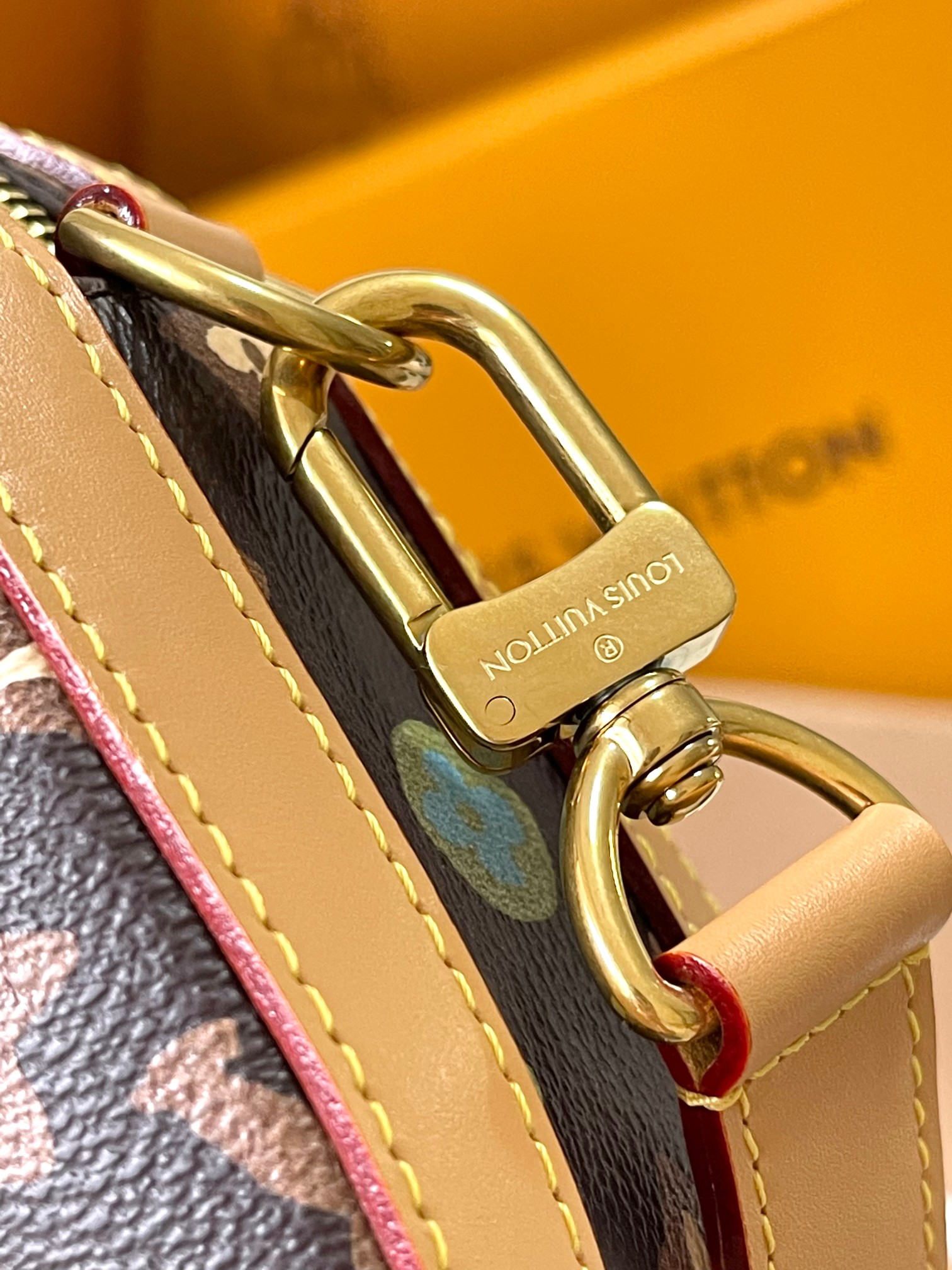 LV Bag