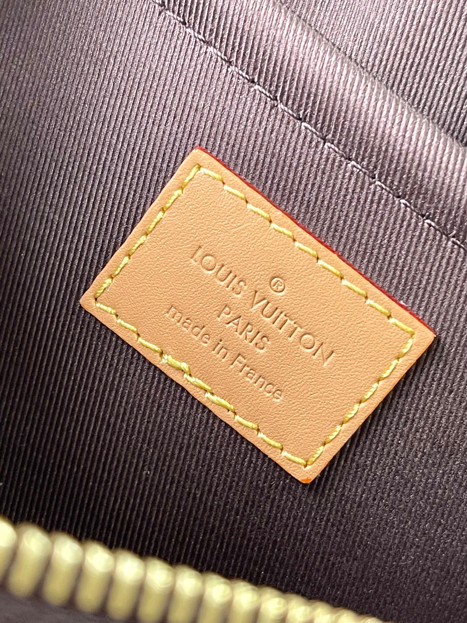 LV Bag