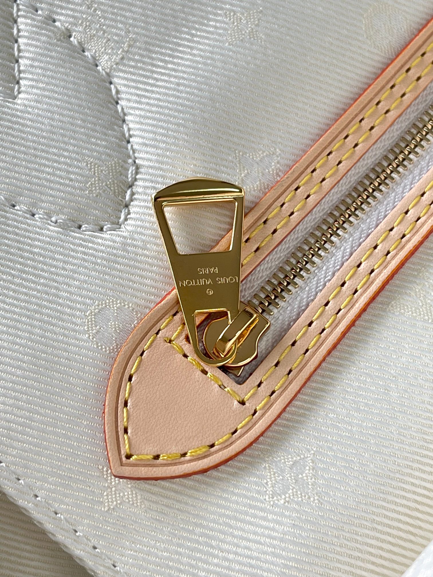 LV Bag