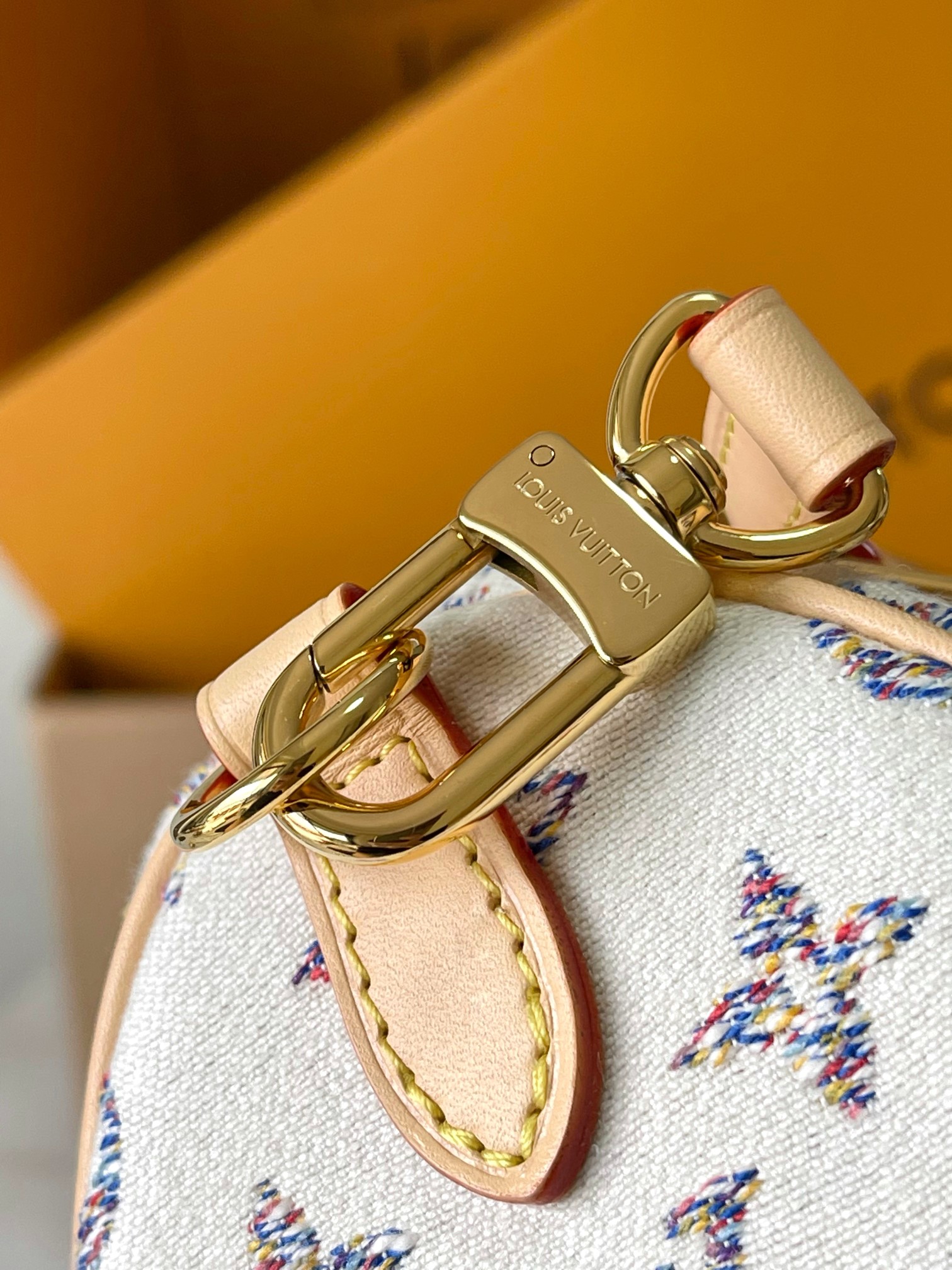 LV Bag