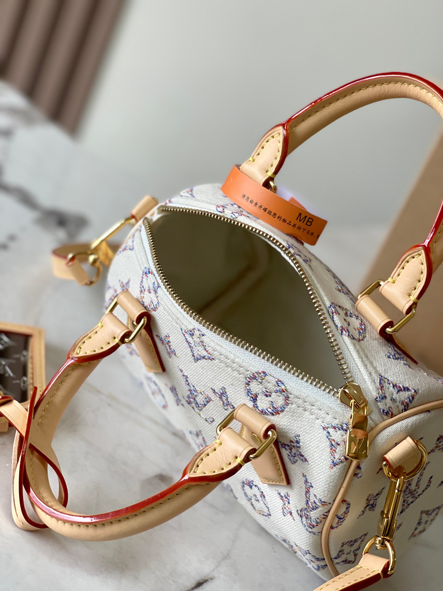 LV Bag