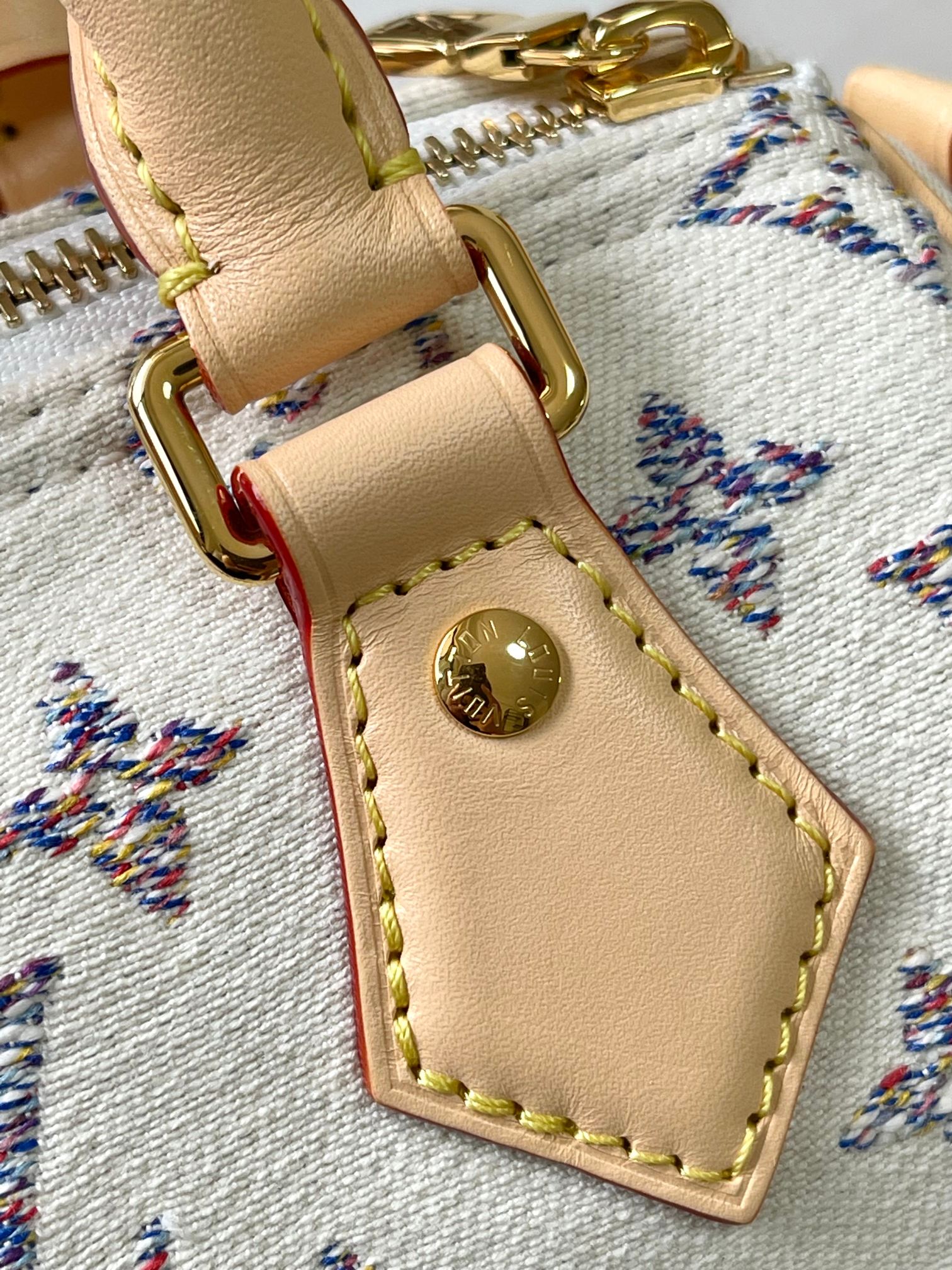 LV Bag