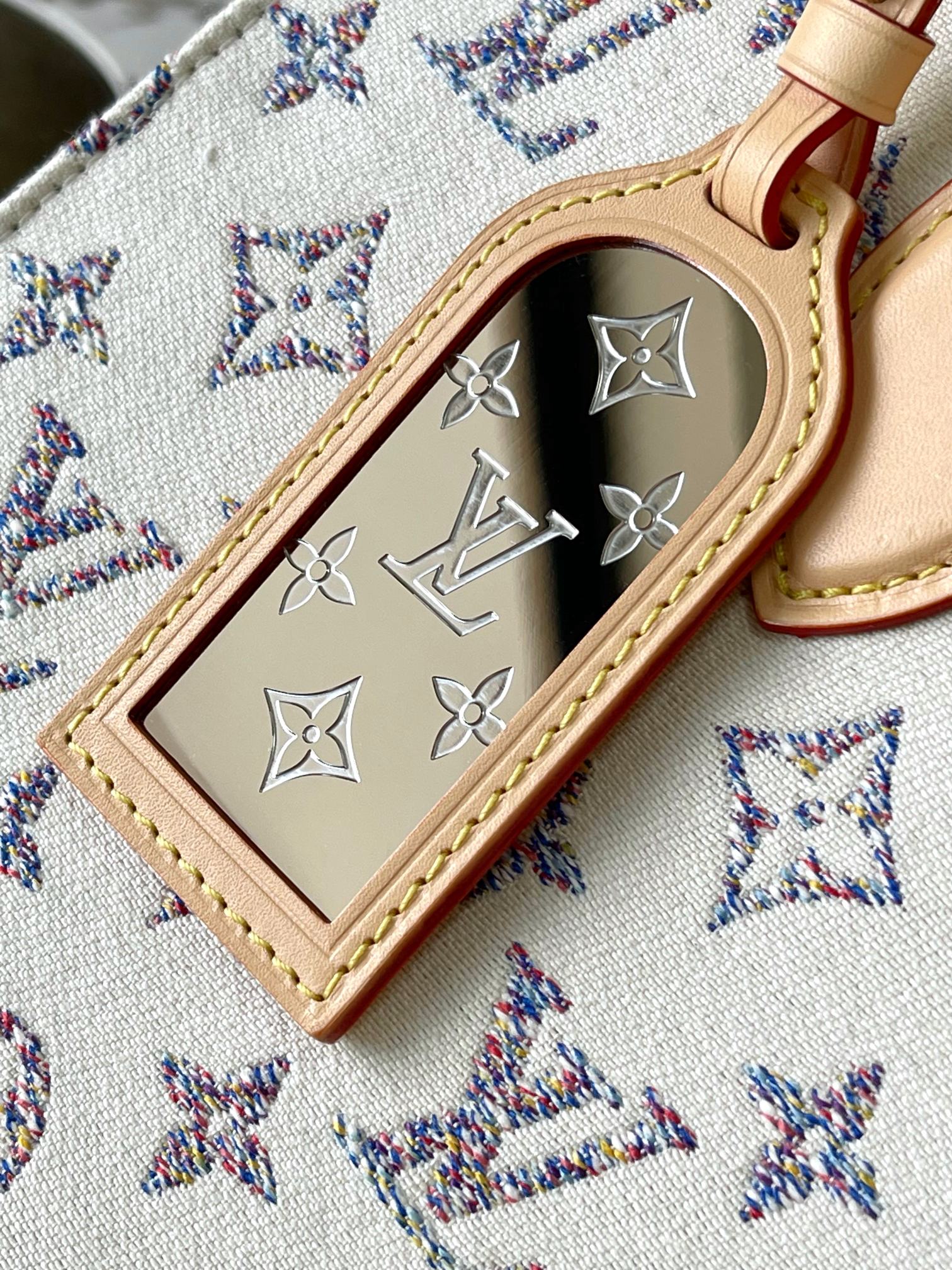 LV Bag