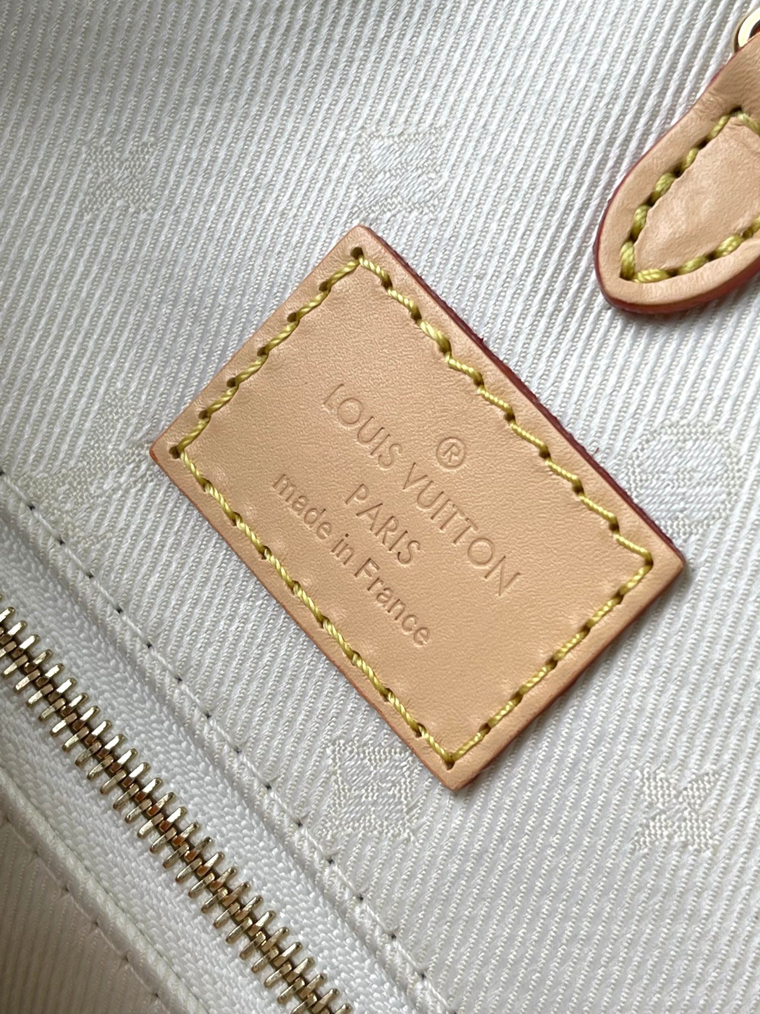 LV Bag