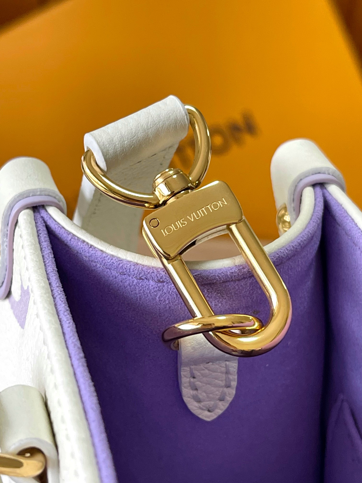 LV Bag