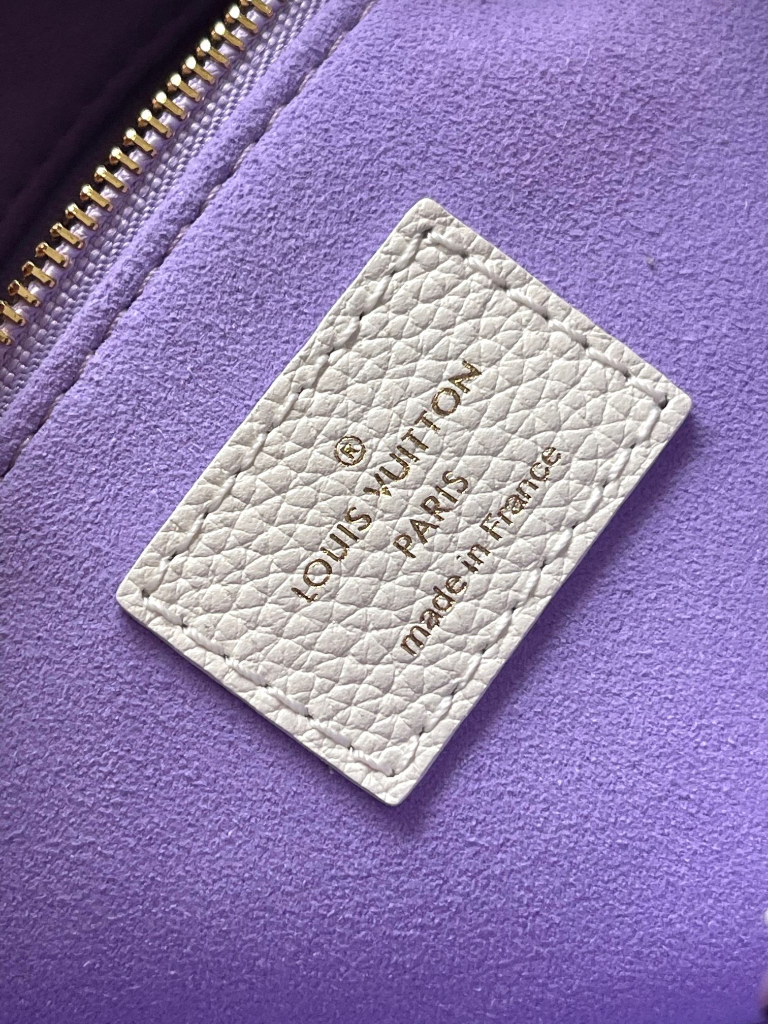 LV Bag