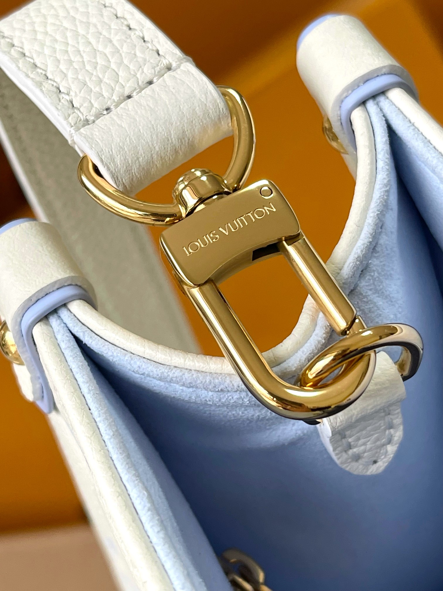 LV Bag