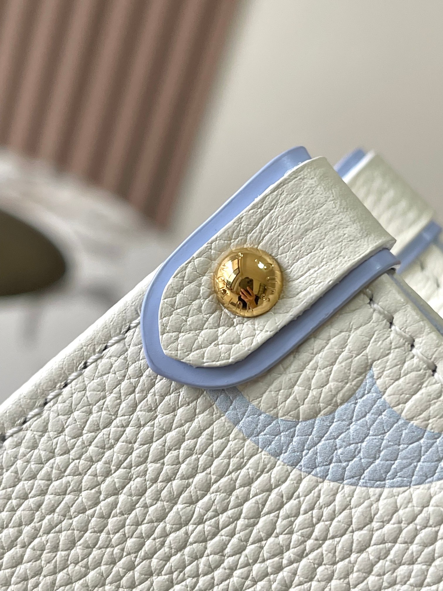 LV Bag