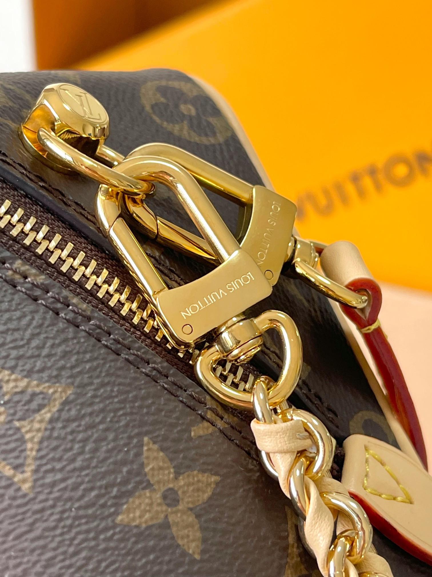 LV Bag