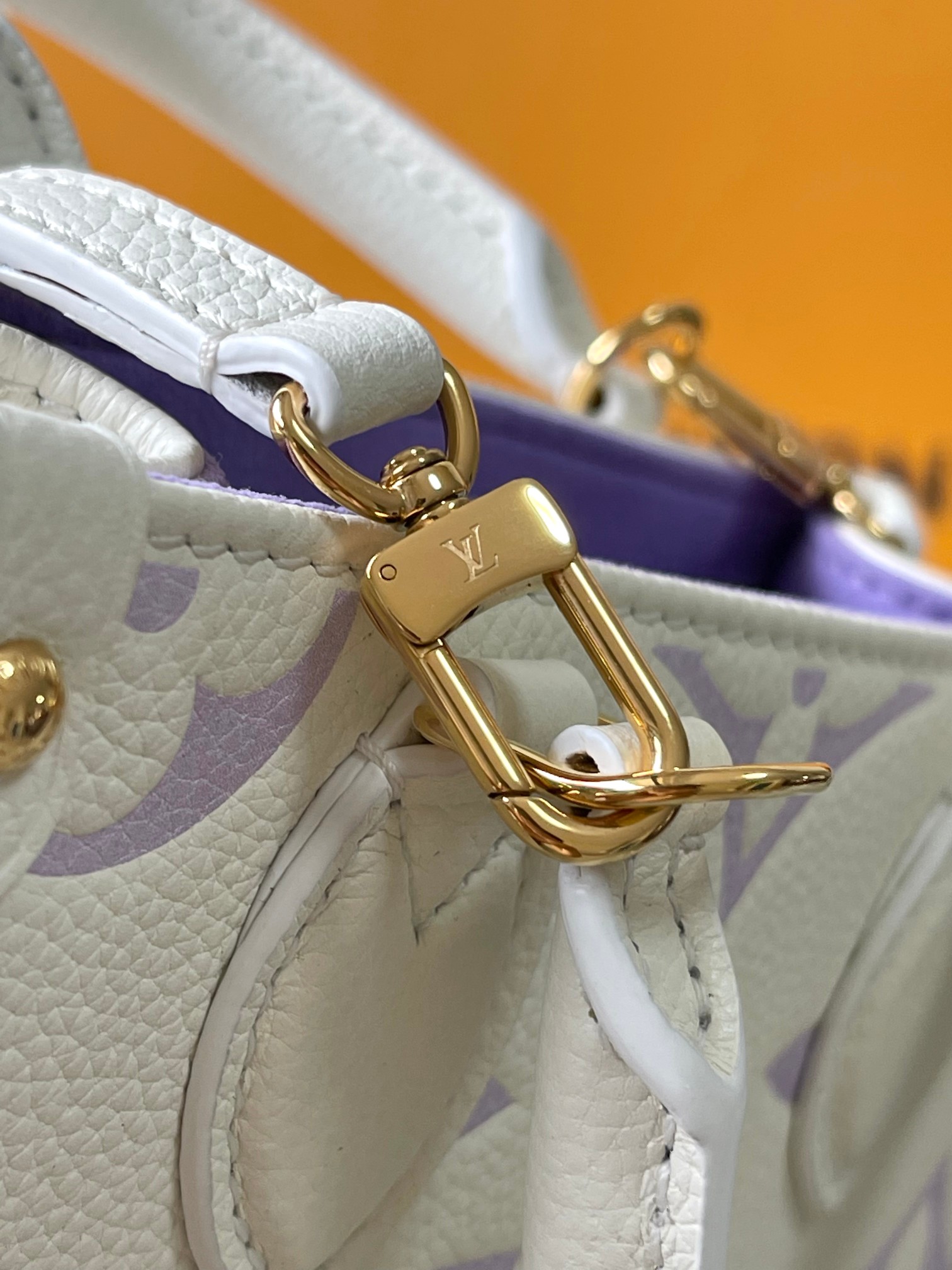 LV Bag