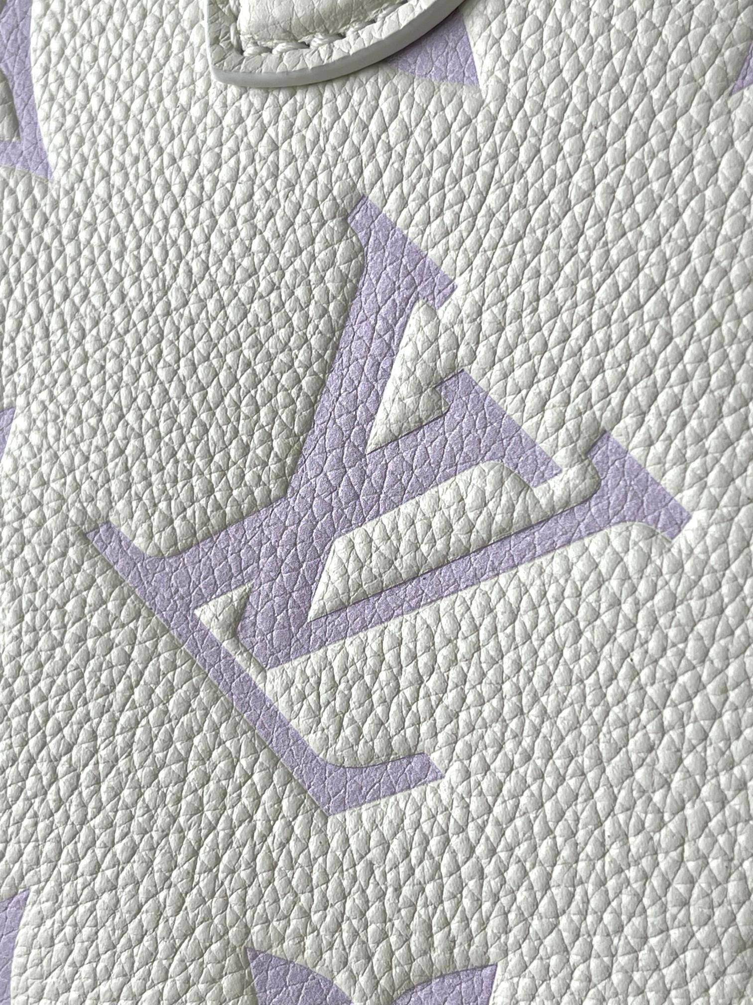 LV Bag