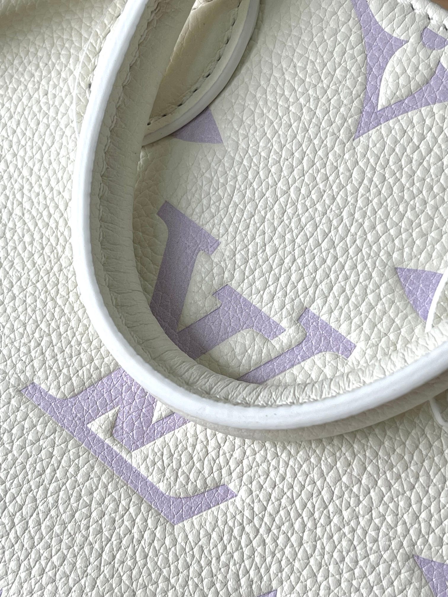 LV Bag