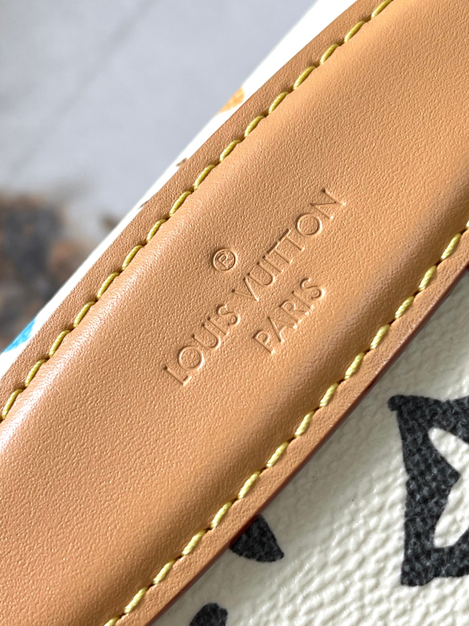LV Bag