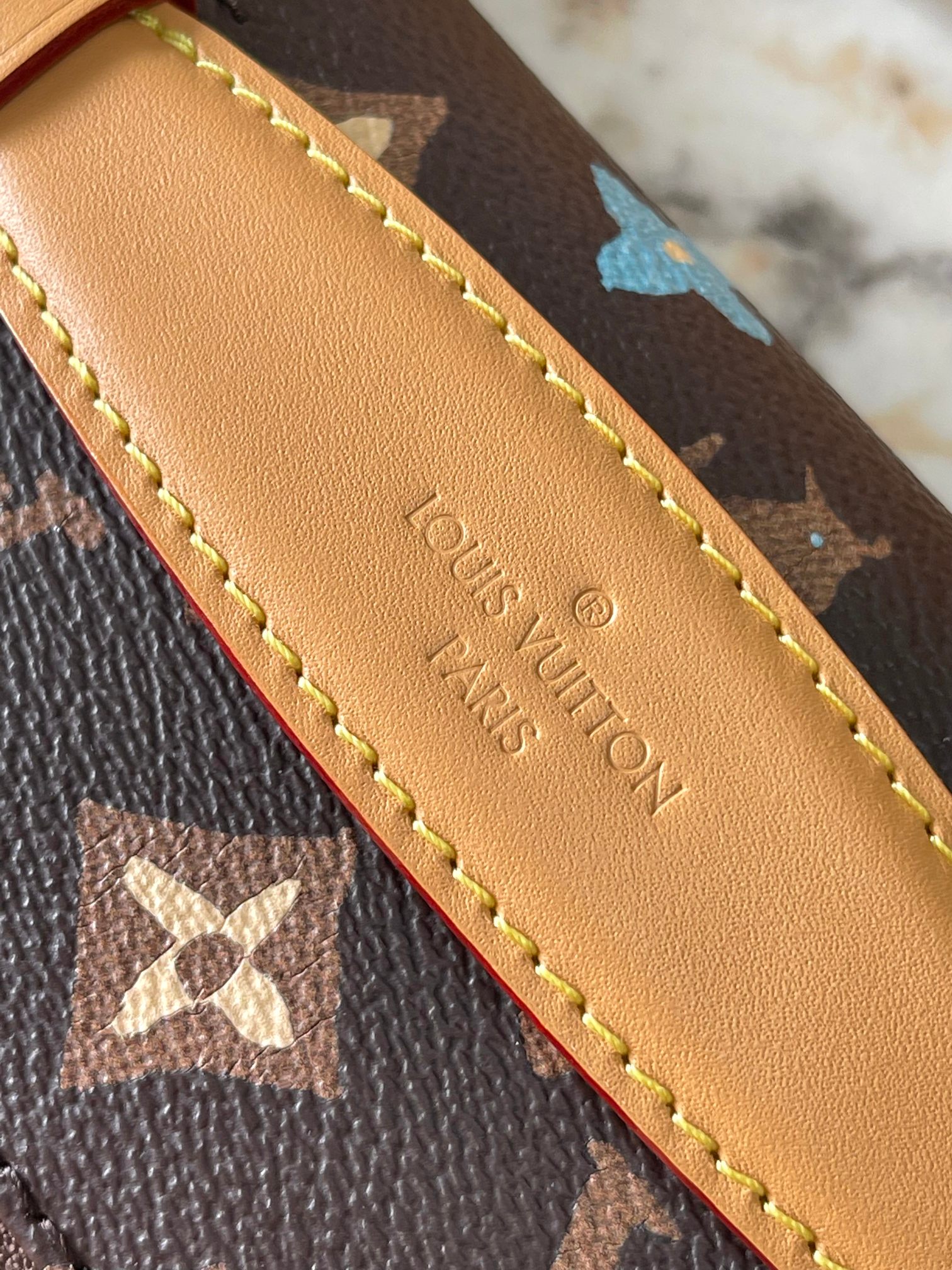 LV Bag