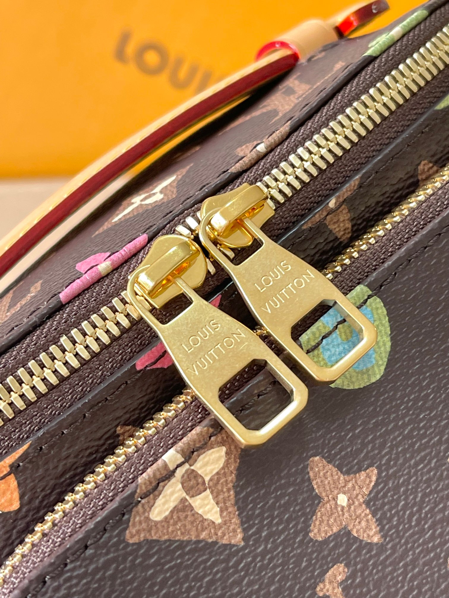 LV Bag
