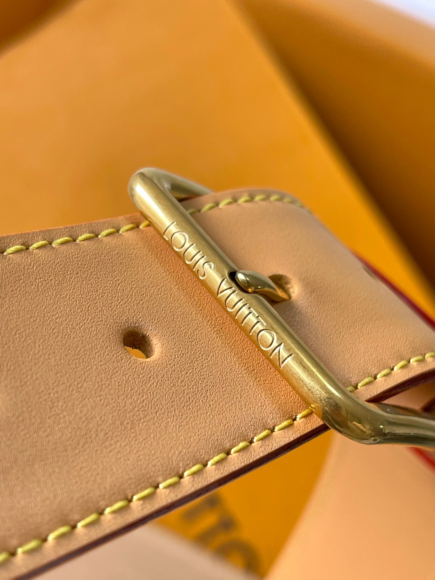 LV Bag