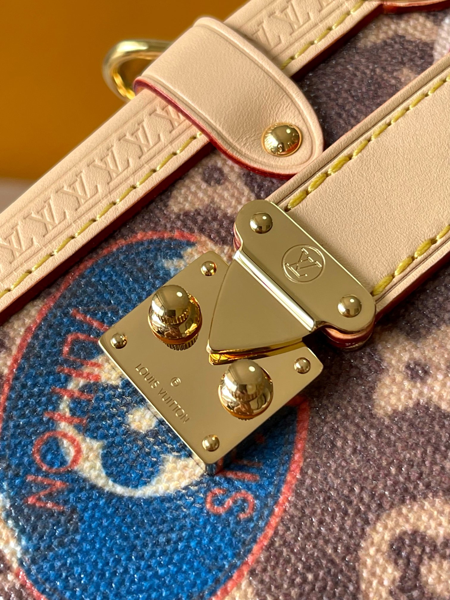 LV Bag