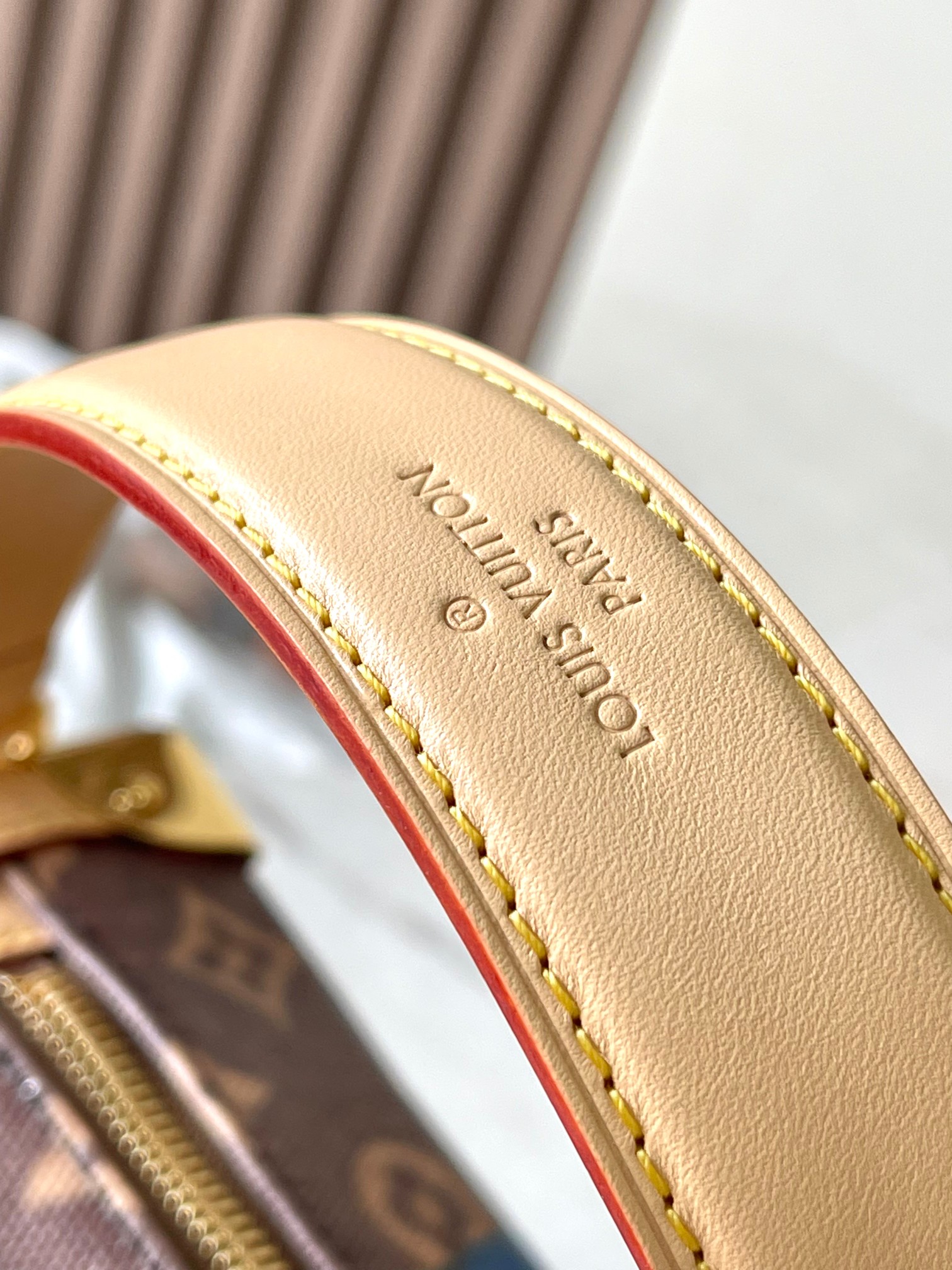 LV Bag