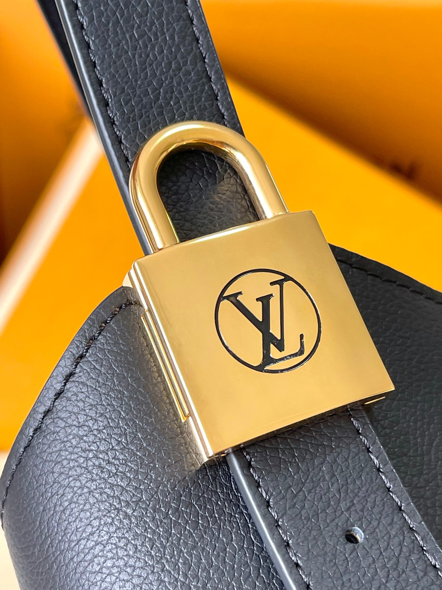 LV Bag