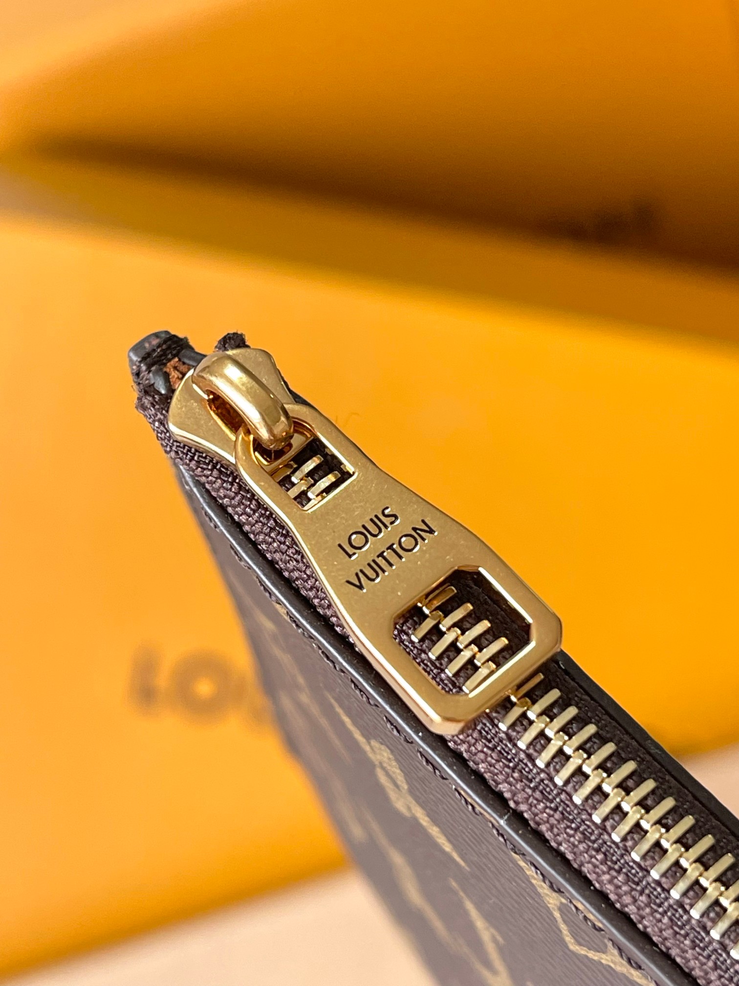 LV Bag