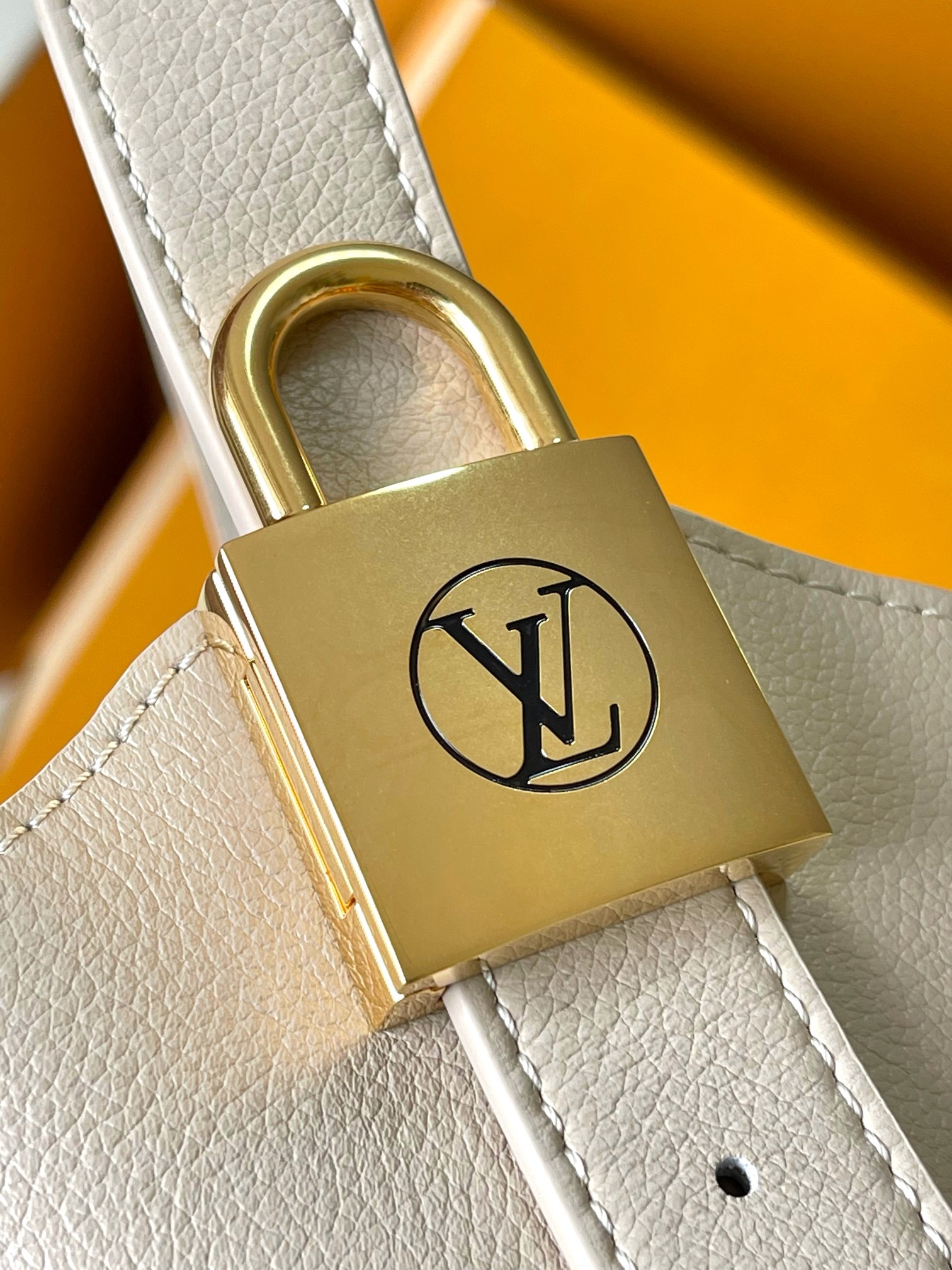 LV Bag