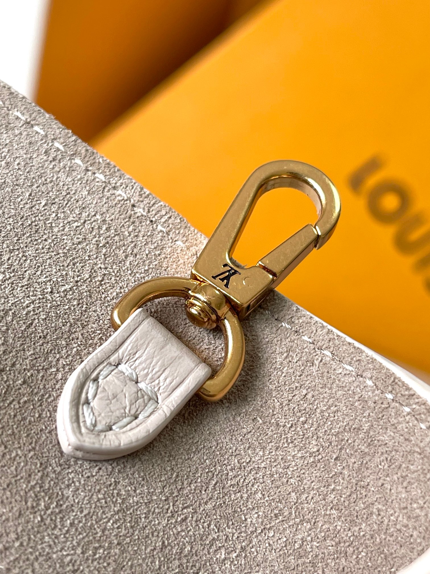 LV Bag