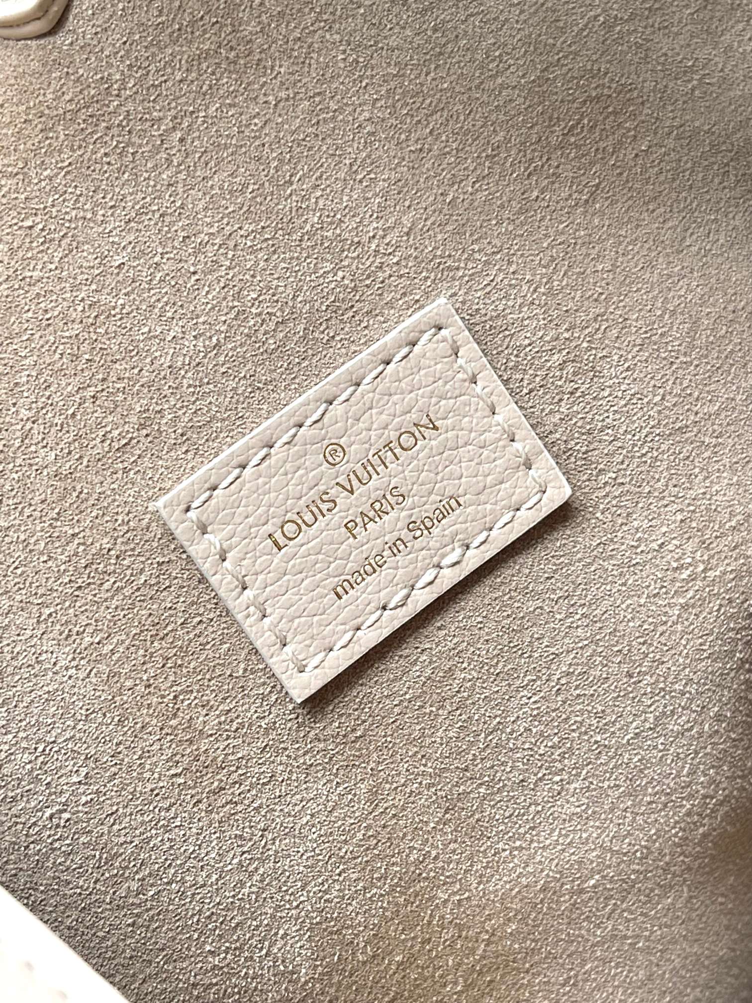 LV Bag