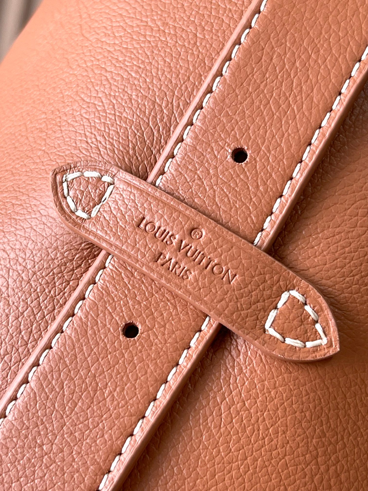 LV Bag