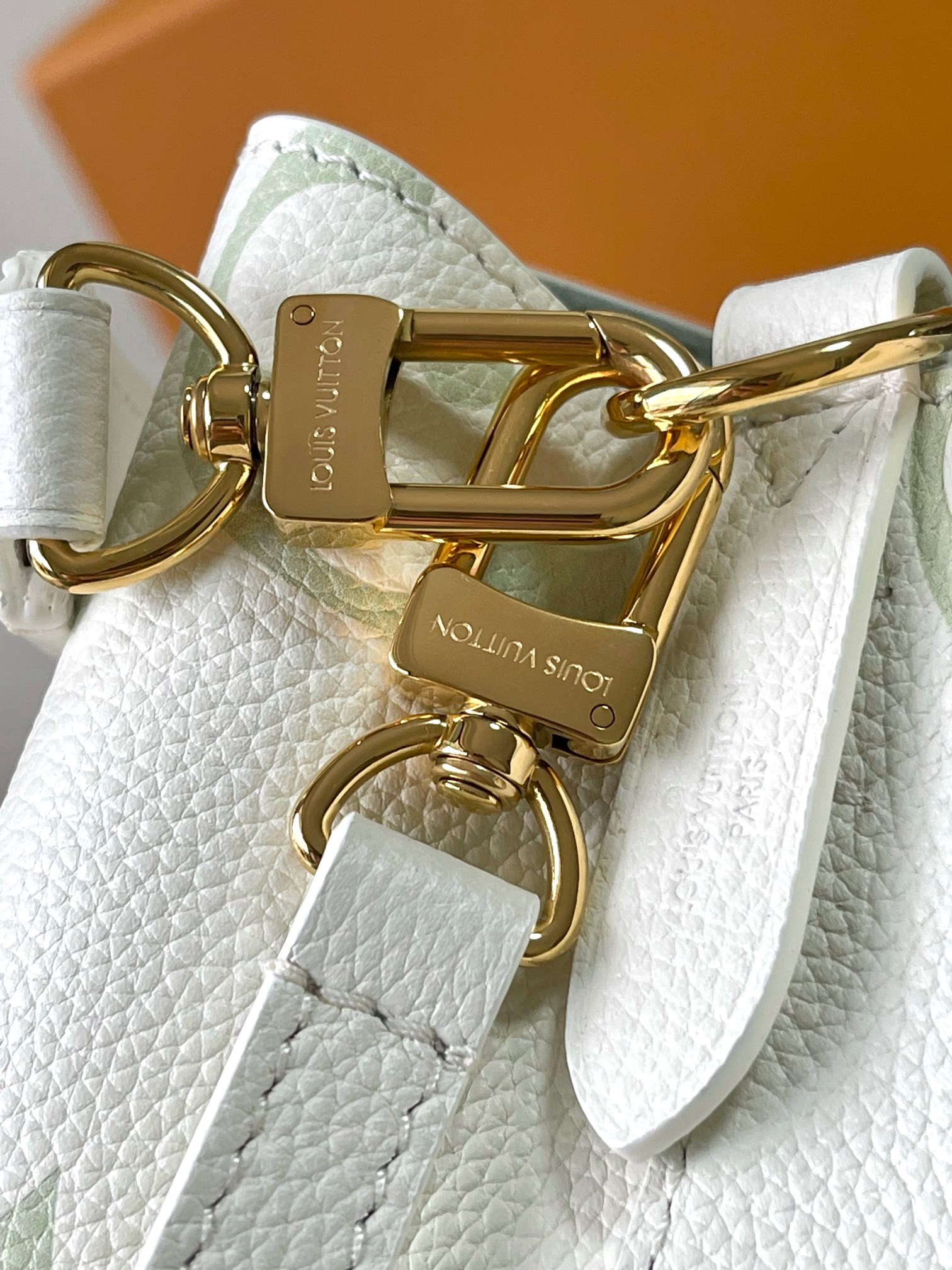 LV Bag
