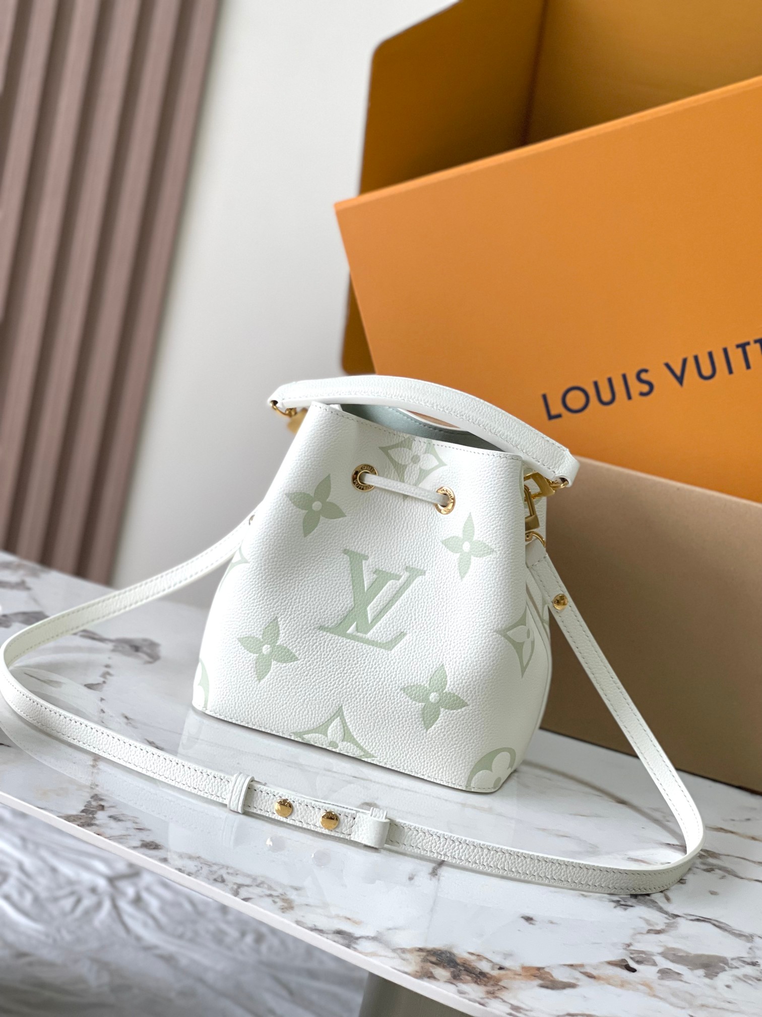 LV Bag