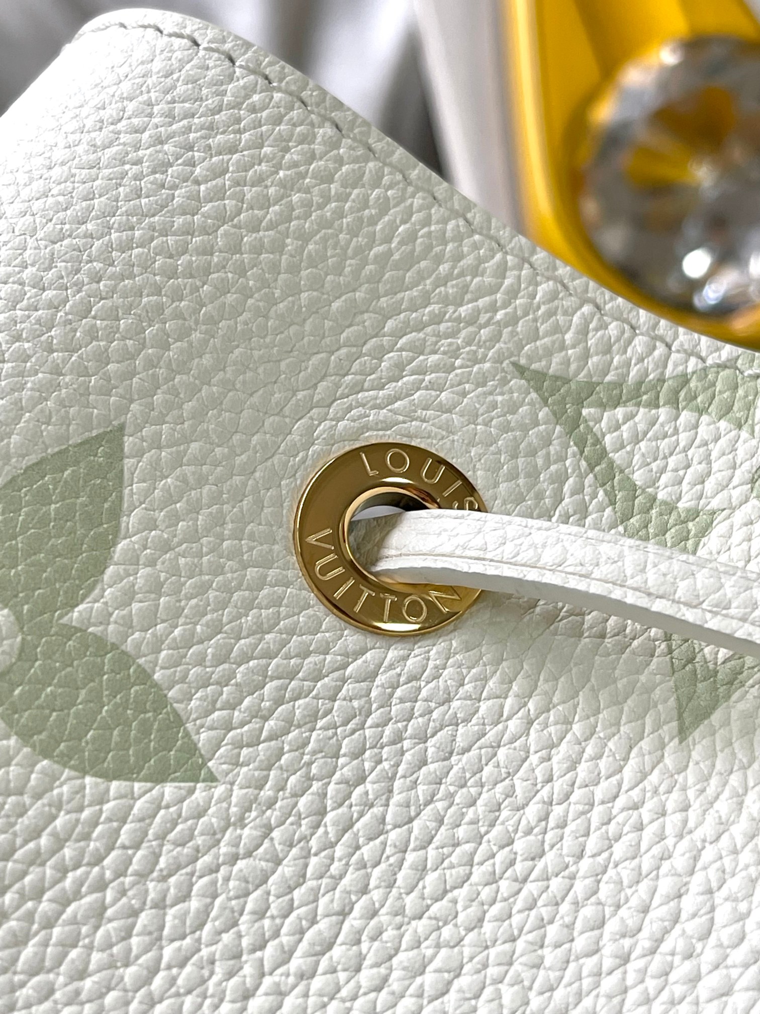 LV Bag