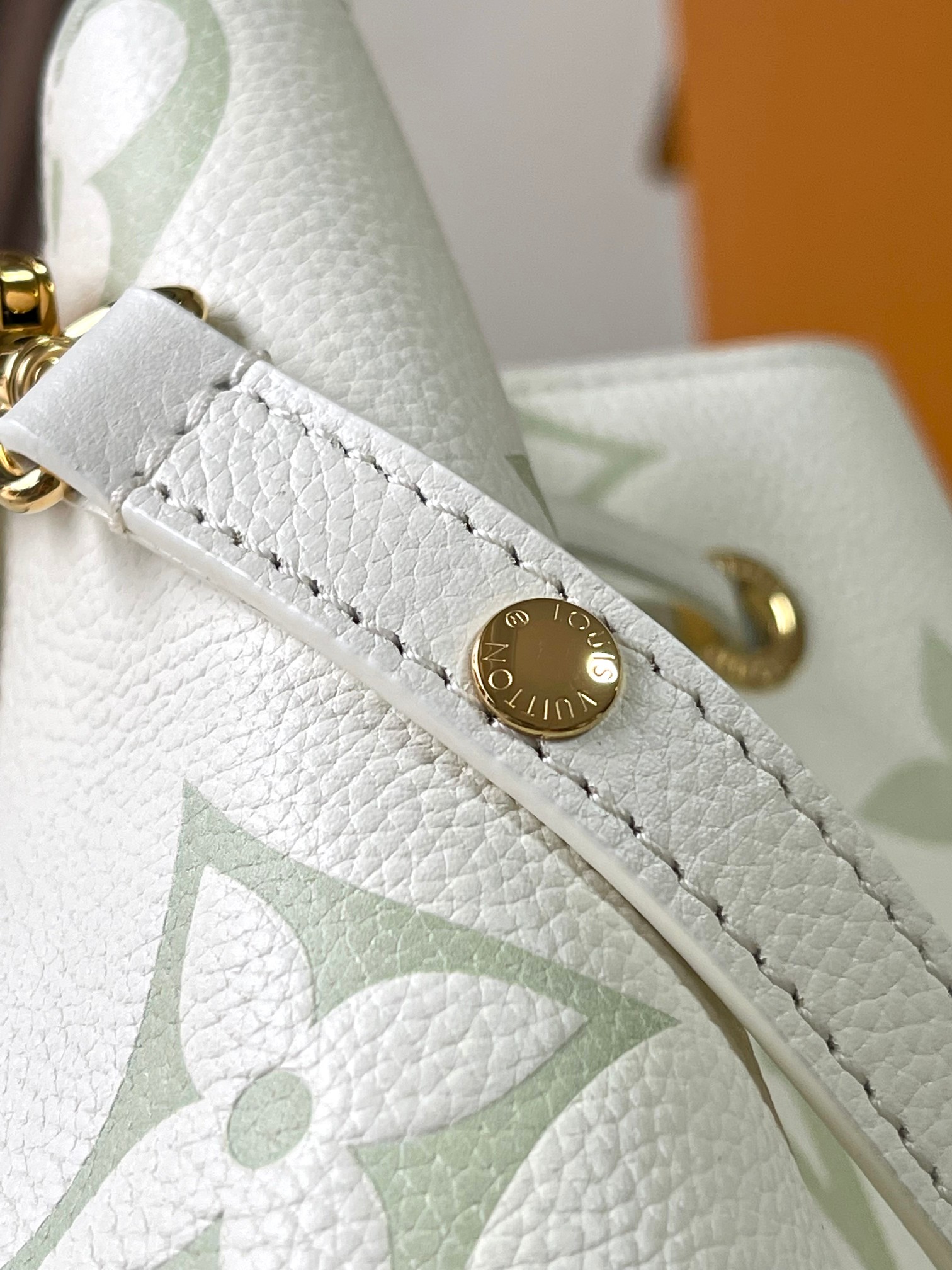 LV Bag