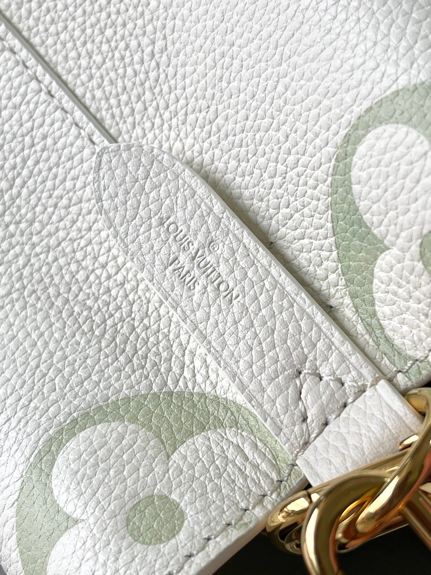 LV Bag