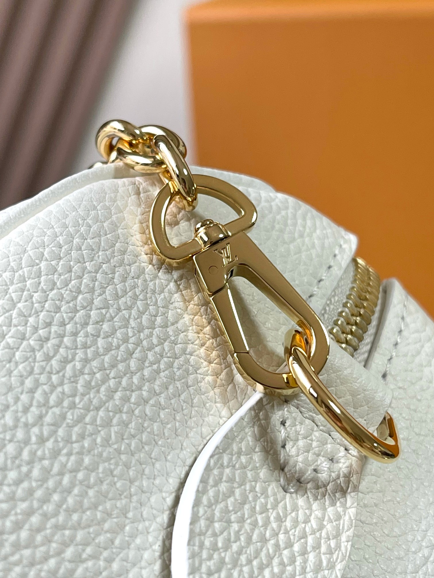 LV Bag