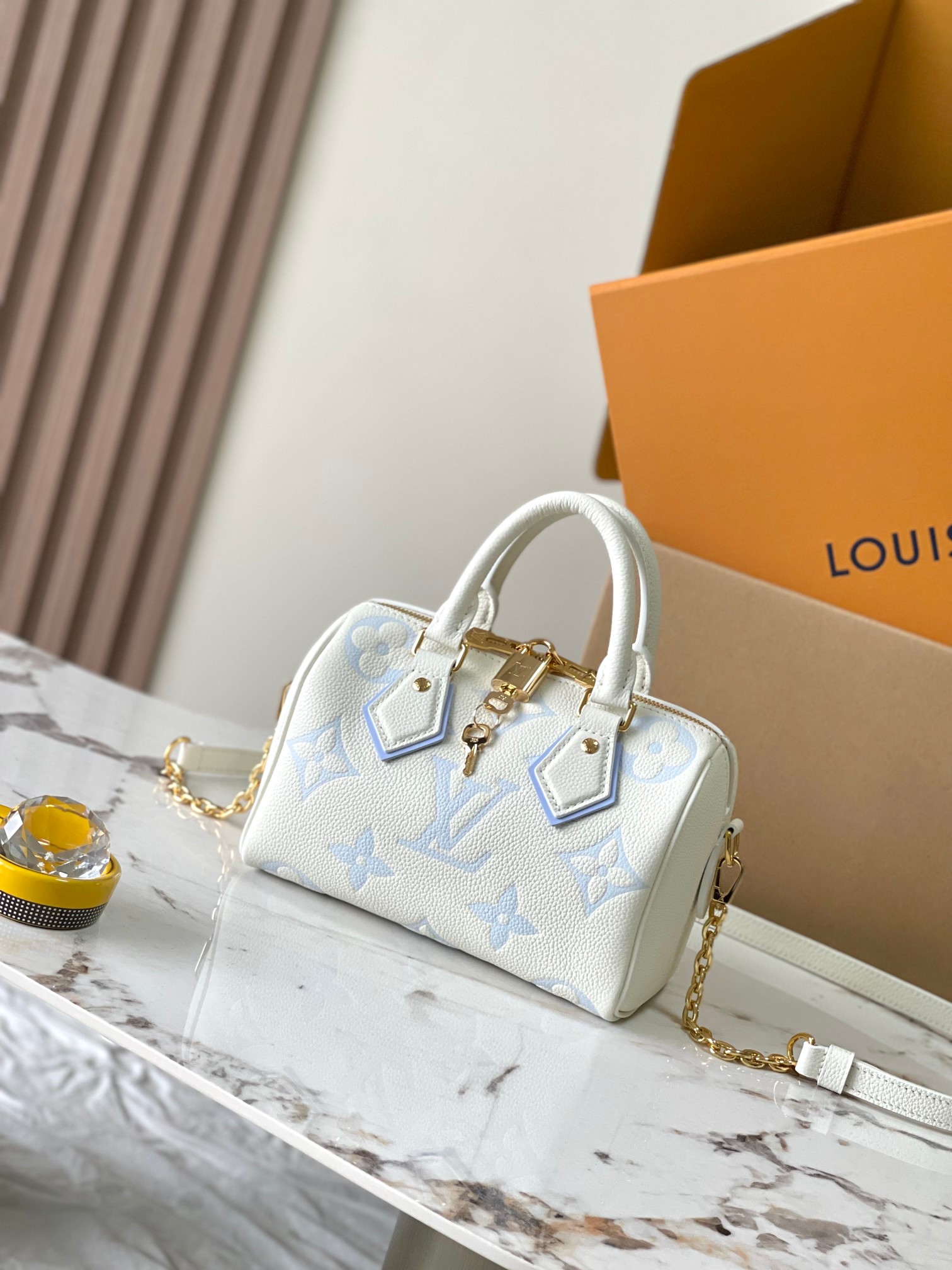LV Bag
