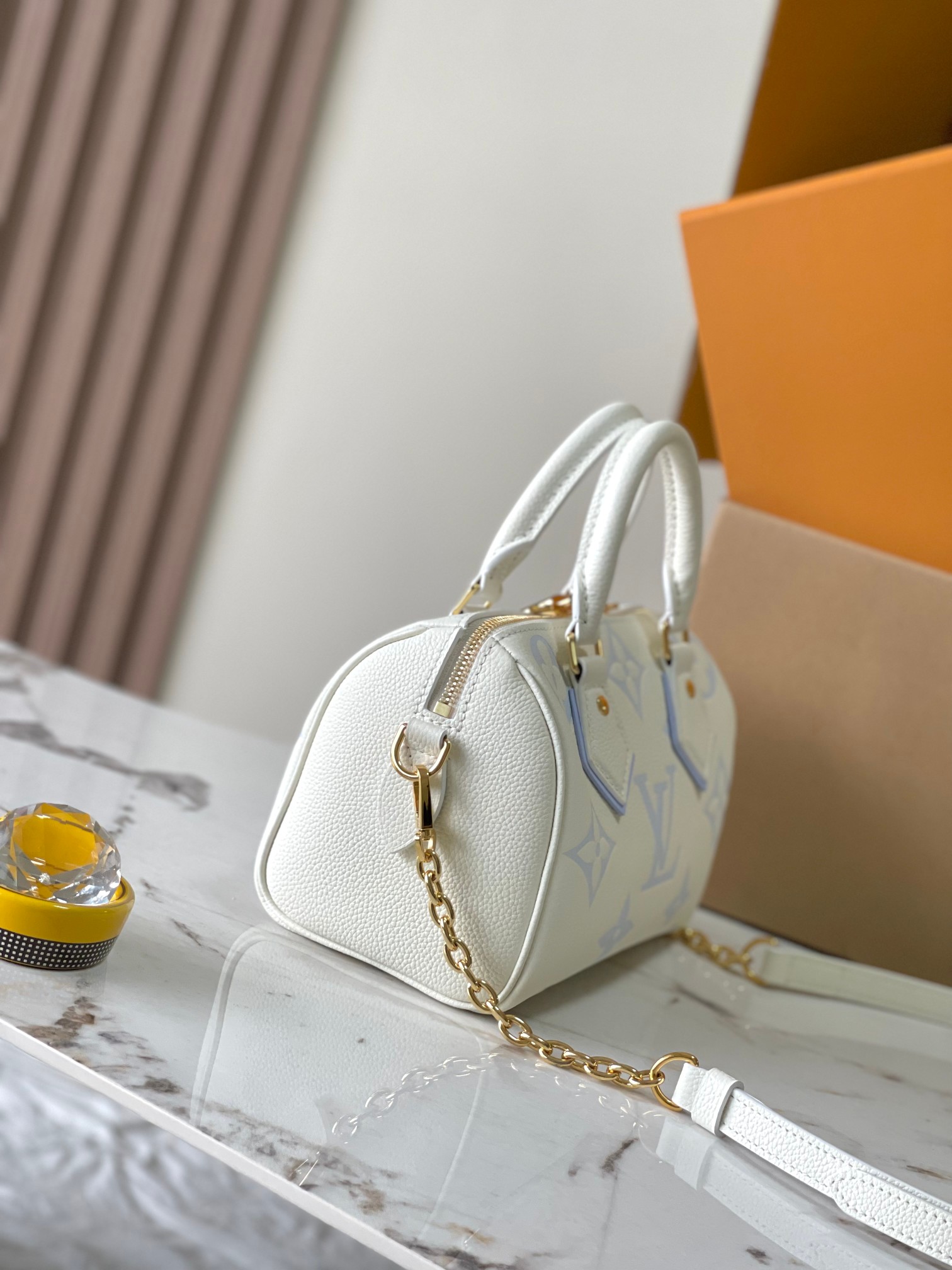 LV Bag