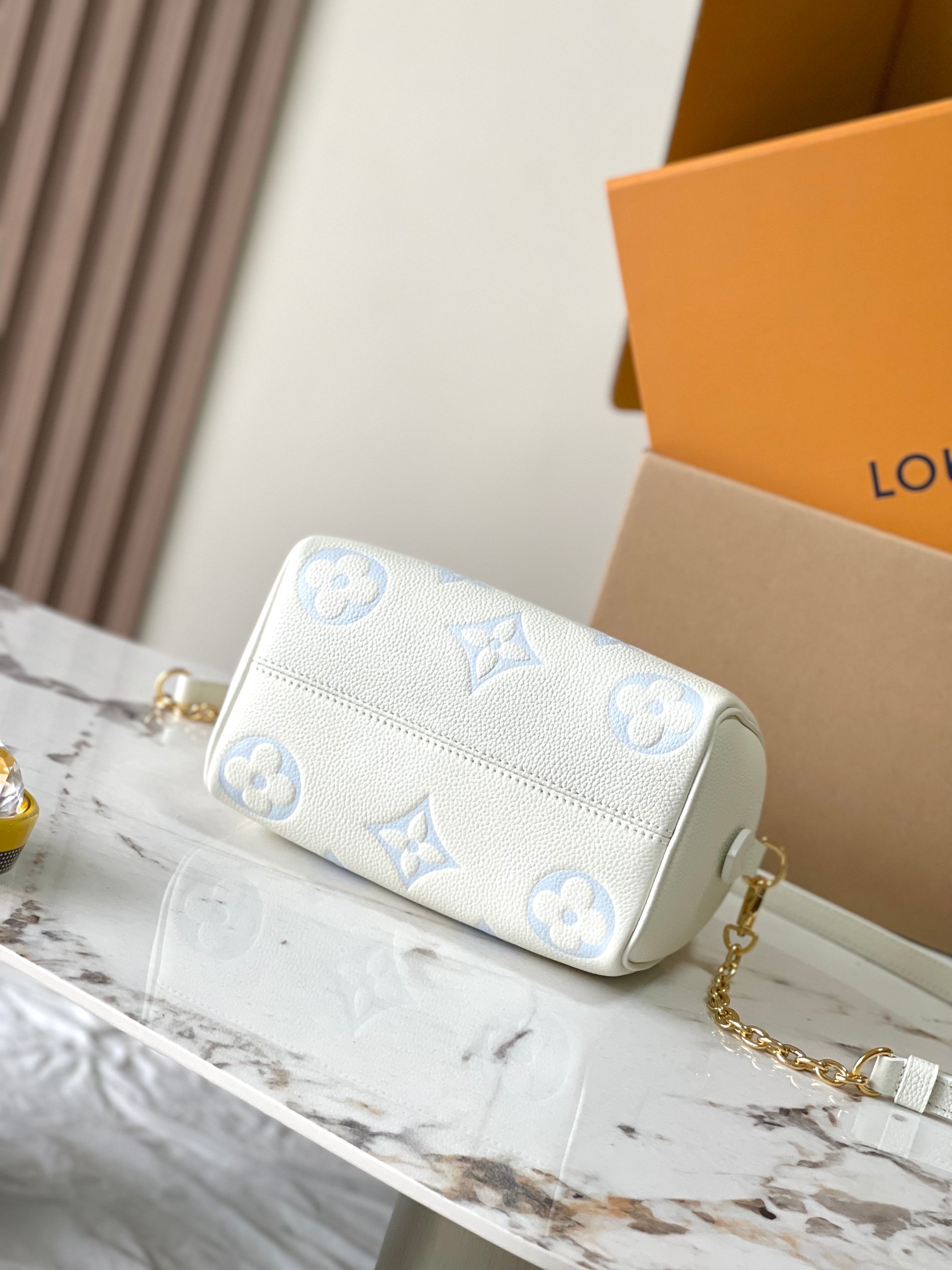 LV Bag